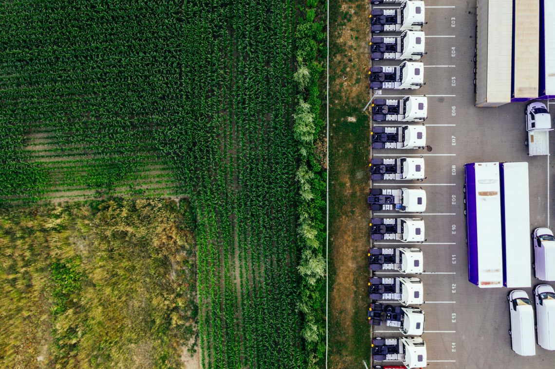 Corporate Sustainability Due Diligence Directive whitepaper