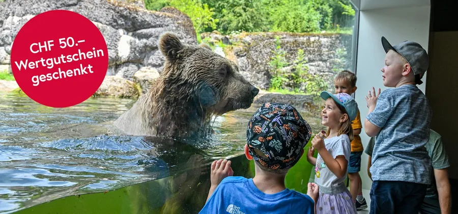 Mainbanner Tierpark Goldau Benefit