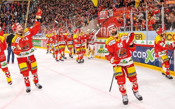 Mainbanner EHCB Gratulation