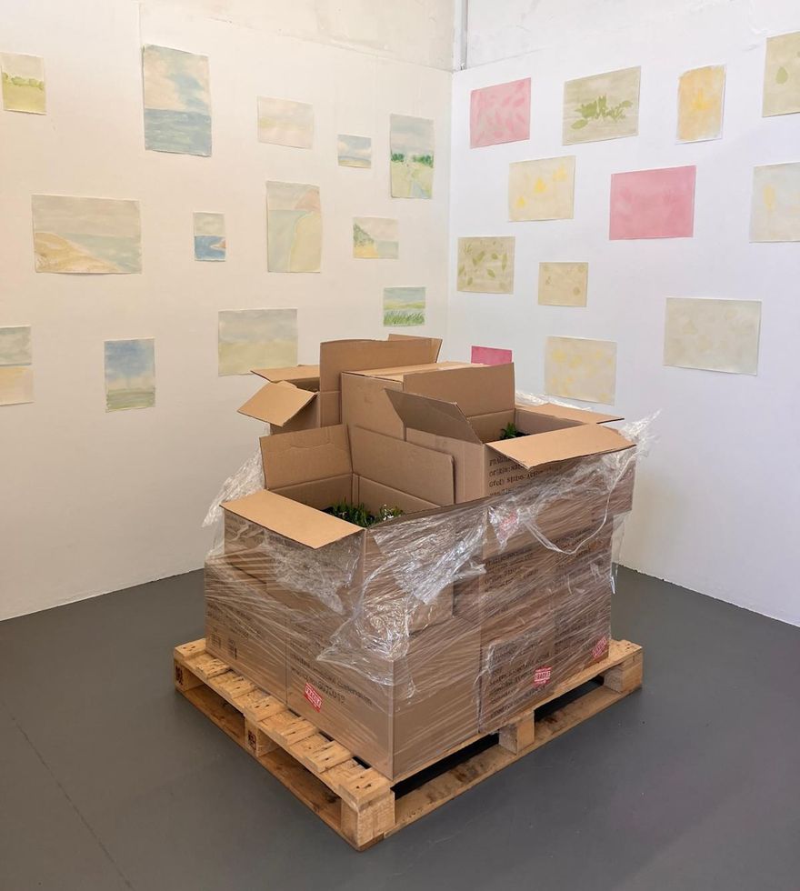 Photo of flowers in cardboard boxes stacked on a palette in art gallery