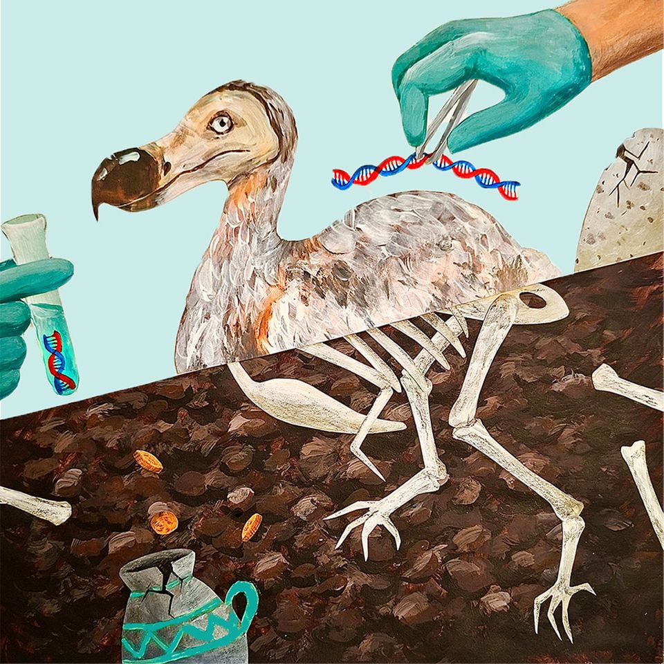 Illustration of a dodo bird with DNA strand being manipulated, above a cross-section showing its skeleton buried in soil.