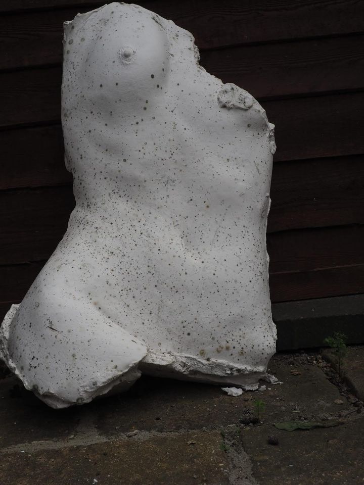 Sculpture of woman's torso with single breast and top of thigh