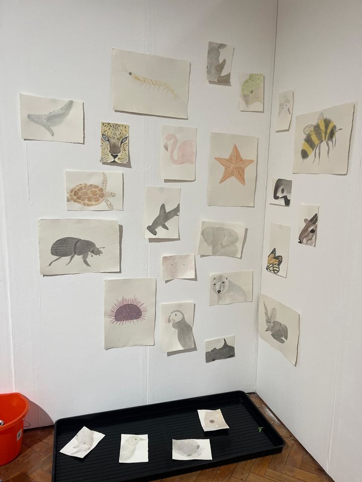 Illustrations of animals on wall