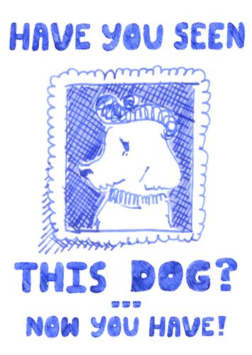 Blue illustration of dog with beanie hat on and message "Have you seen this dog? Now you have!"