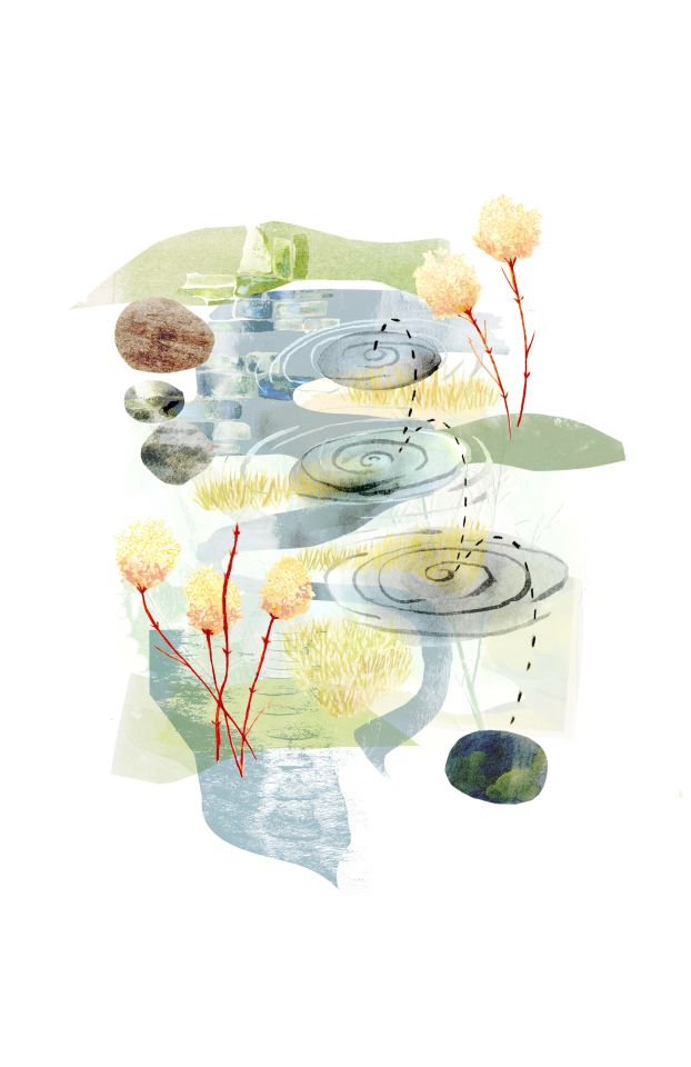 Illustration of stone being skimmed over pond