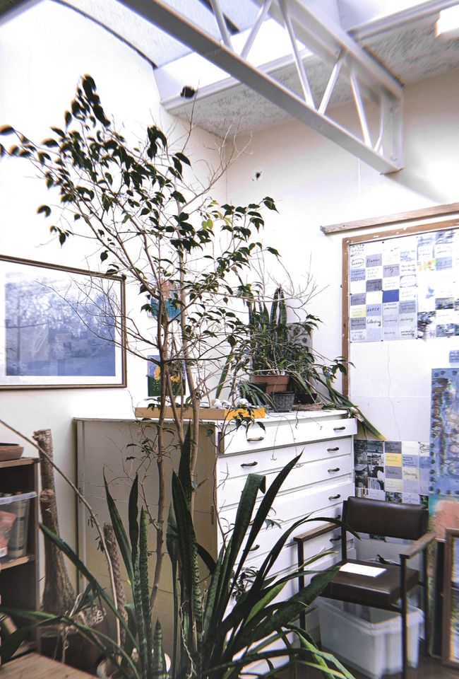 Indoor office corner with tall plants, white drawers, a chair, and walls decorated with photos and papers under a skylight.