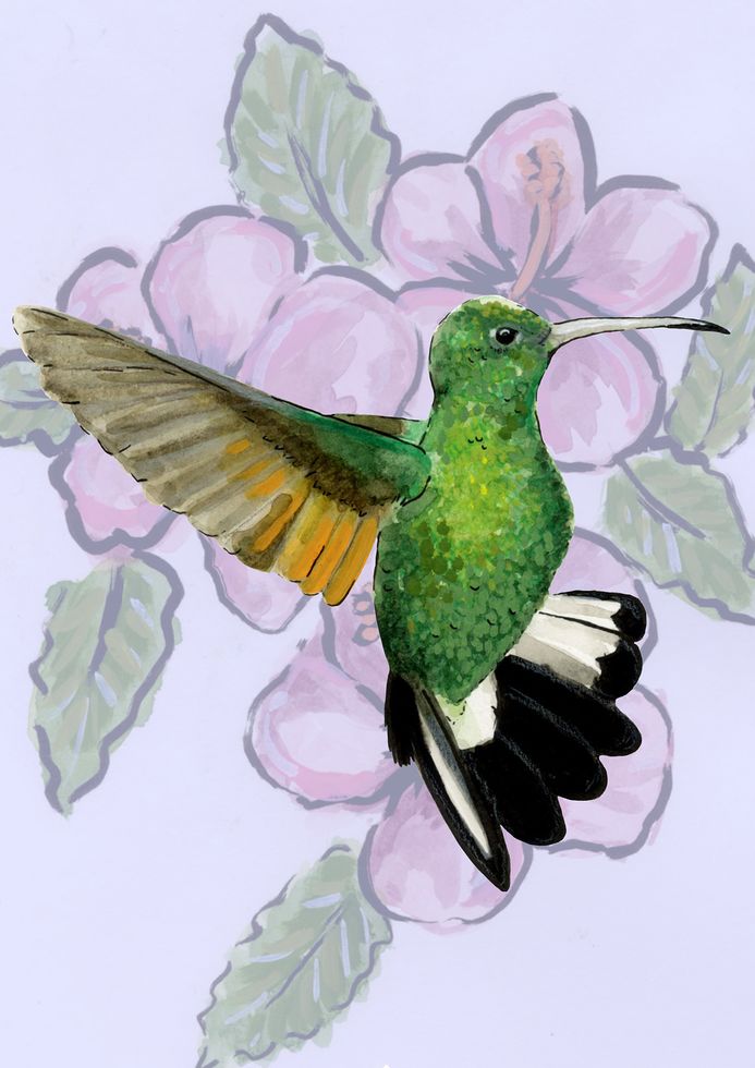 A hummingbird with floral background