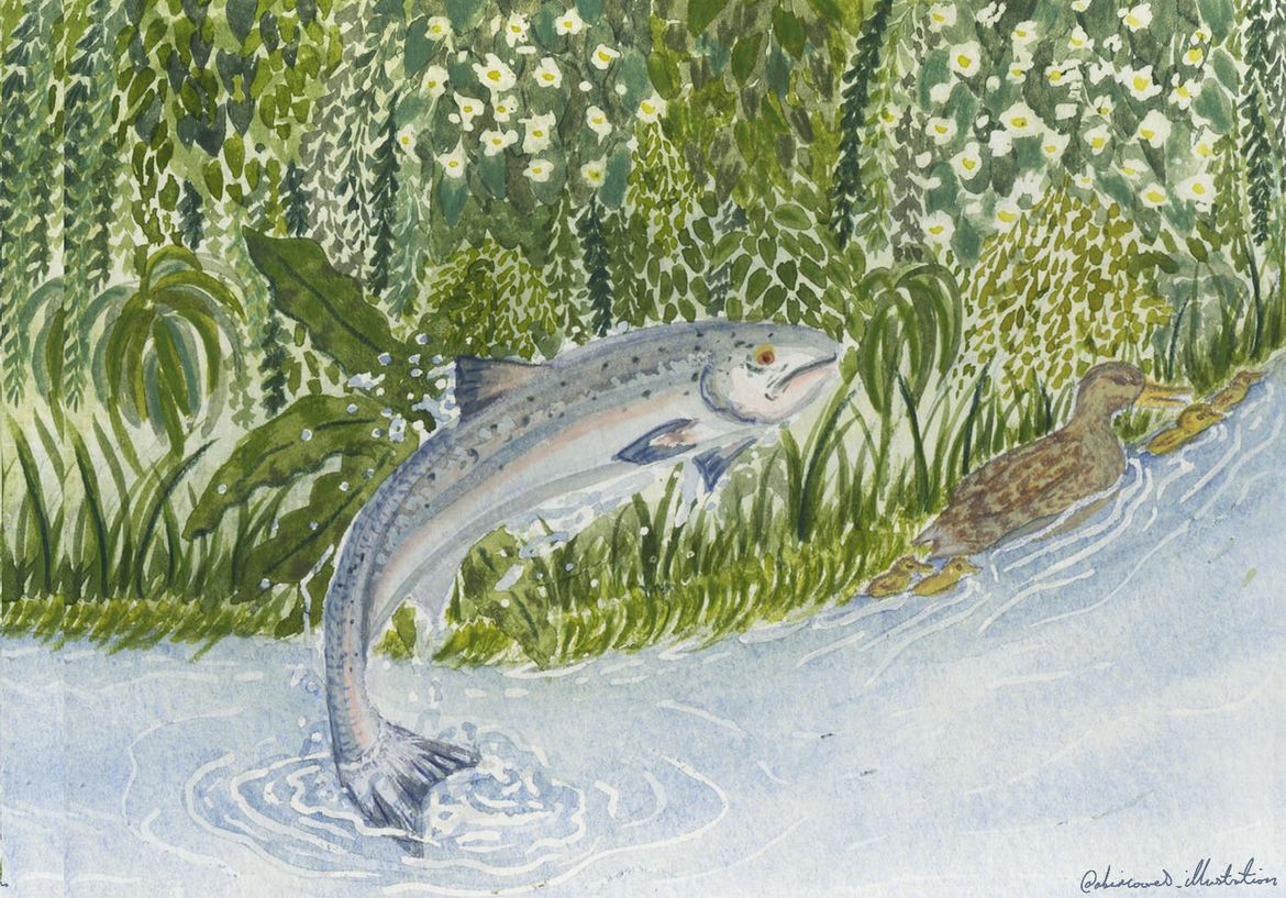 Illustration of a fish in water and greenery