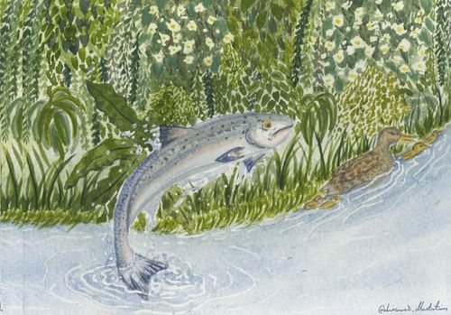 Illustration of a fish in water and greenery