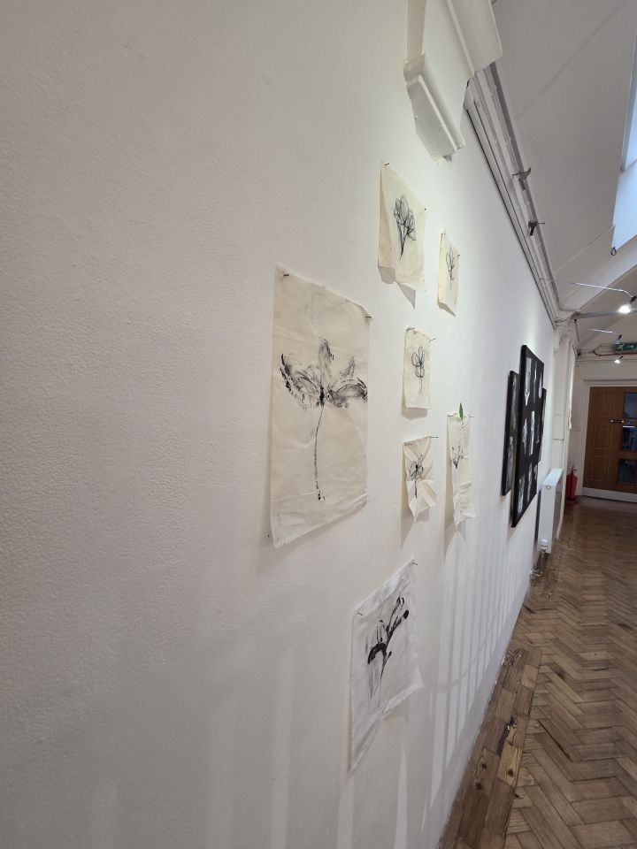 pieces of material with black plant-like designs on gallery wall