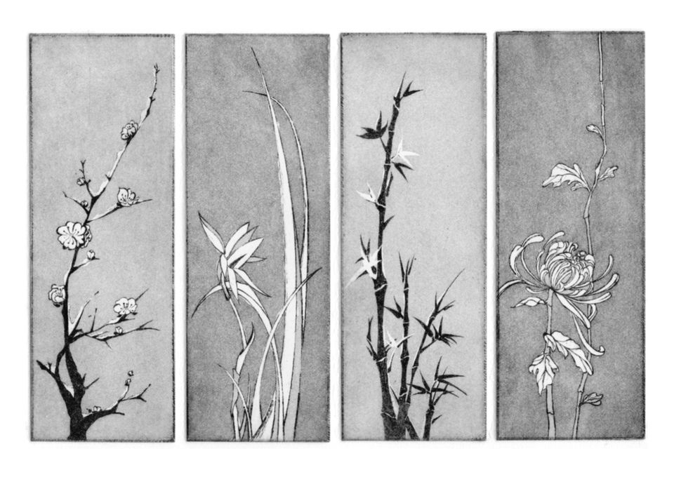 Four monochrome illustrations of different plants