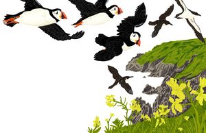 Illustration of puffins flying over cliffs