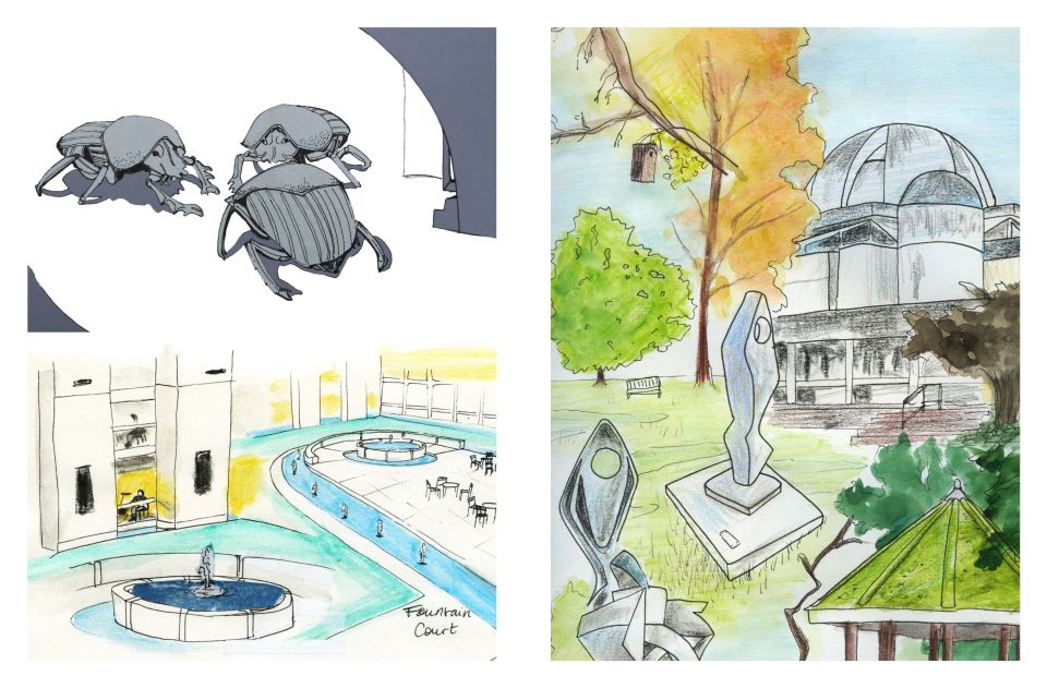 Illustration close-up of beetles above illustration of building grounds next to illustration of college grounds with sculptures