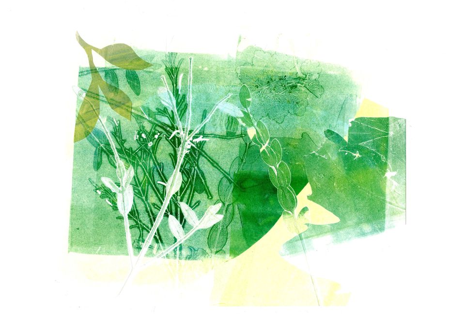 mono-print of pressed leaves