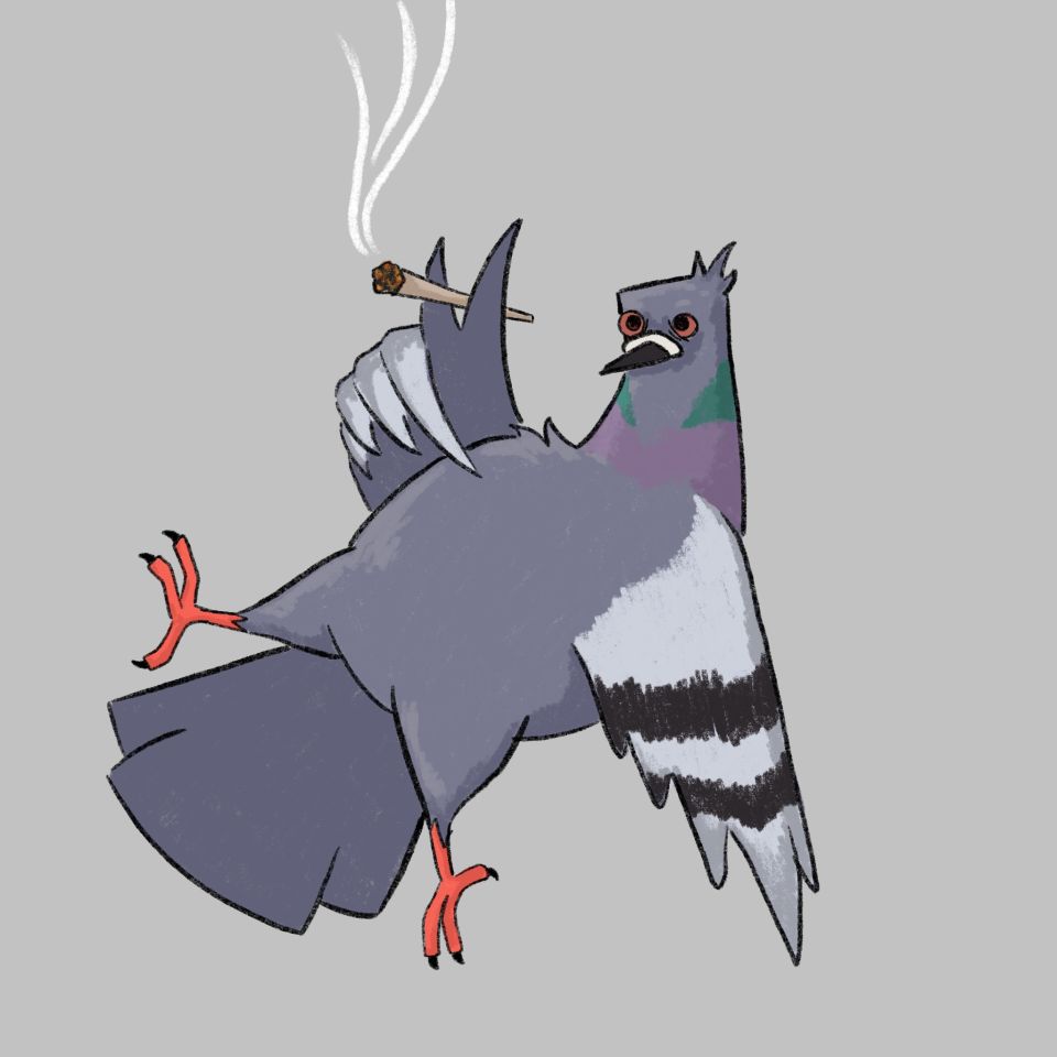 Illustration of pigeon smoking a joint and looking frazzled