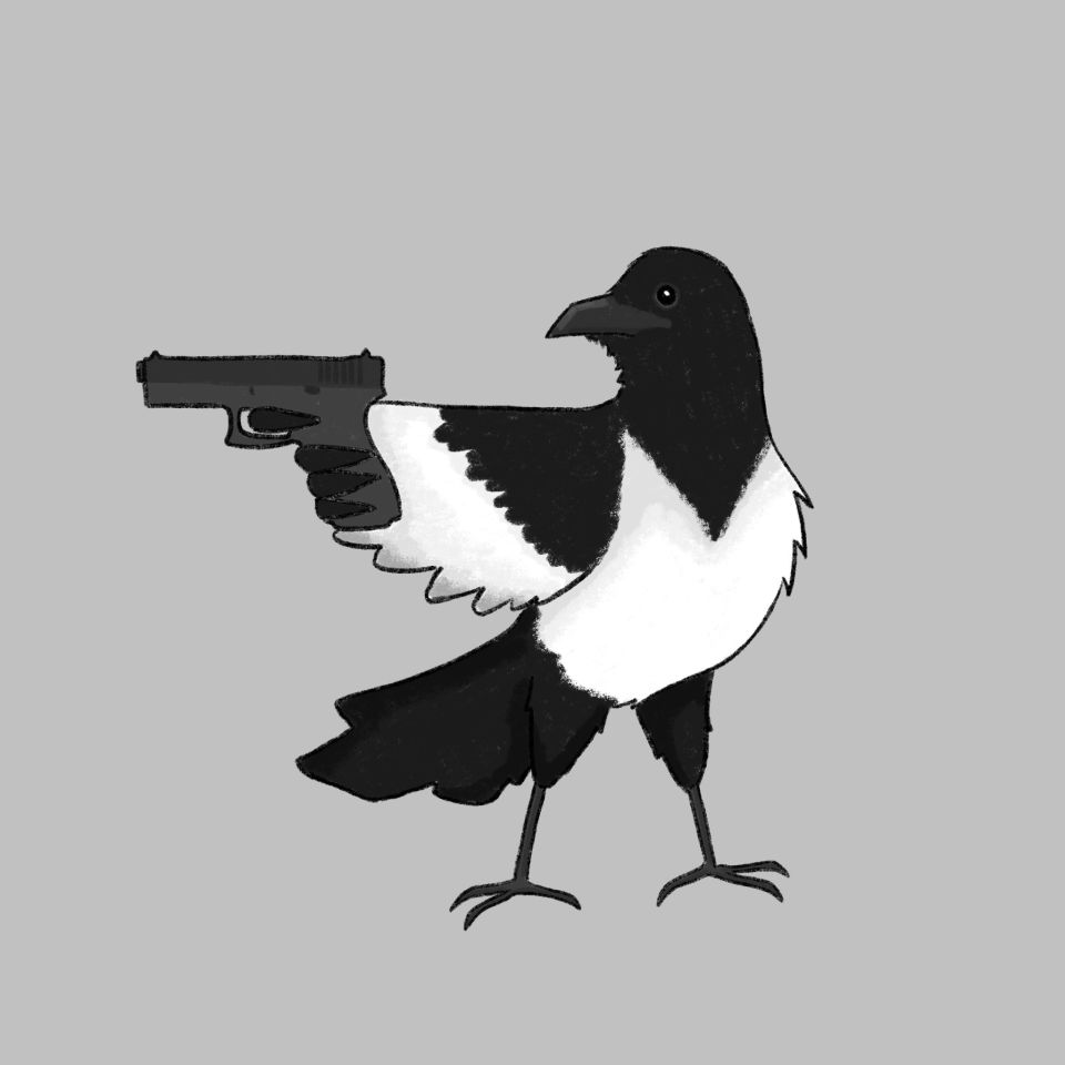 Illustration of magpie wielding a pistol