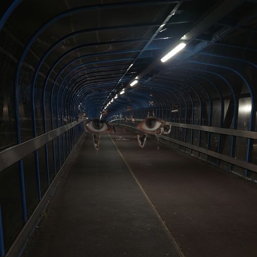 Photo of a covered footbridge with a pair of eyes inside
