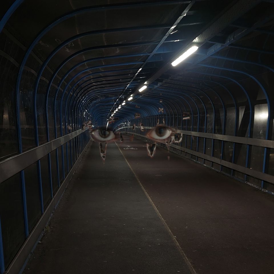 Photo of a covered footbridge with a pair of eyes inside