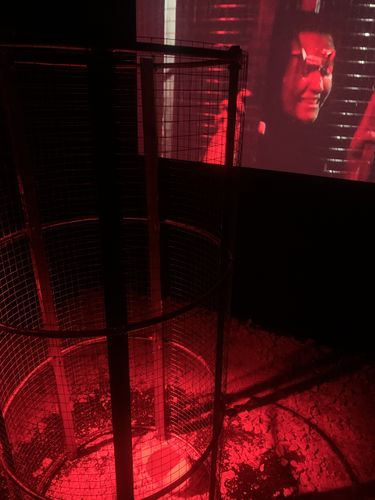 A cage in a dark room with red light