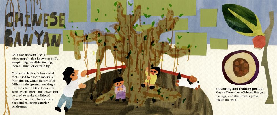 Double spread page from book showing illustration of boys playing around tree and title "Chinese Banyan"