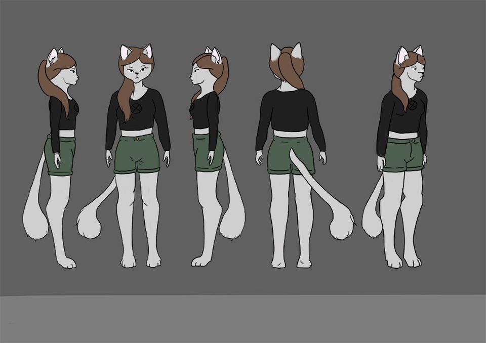 Five illustrations of anthropomorphic fox from different positions