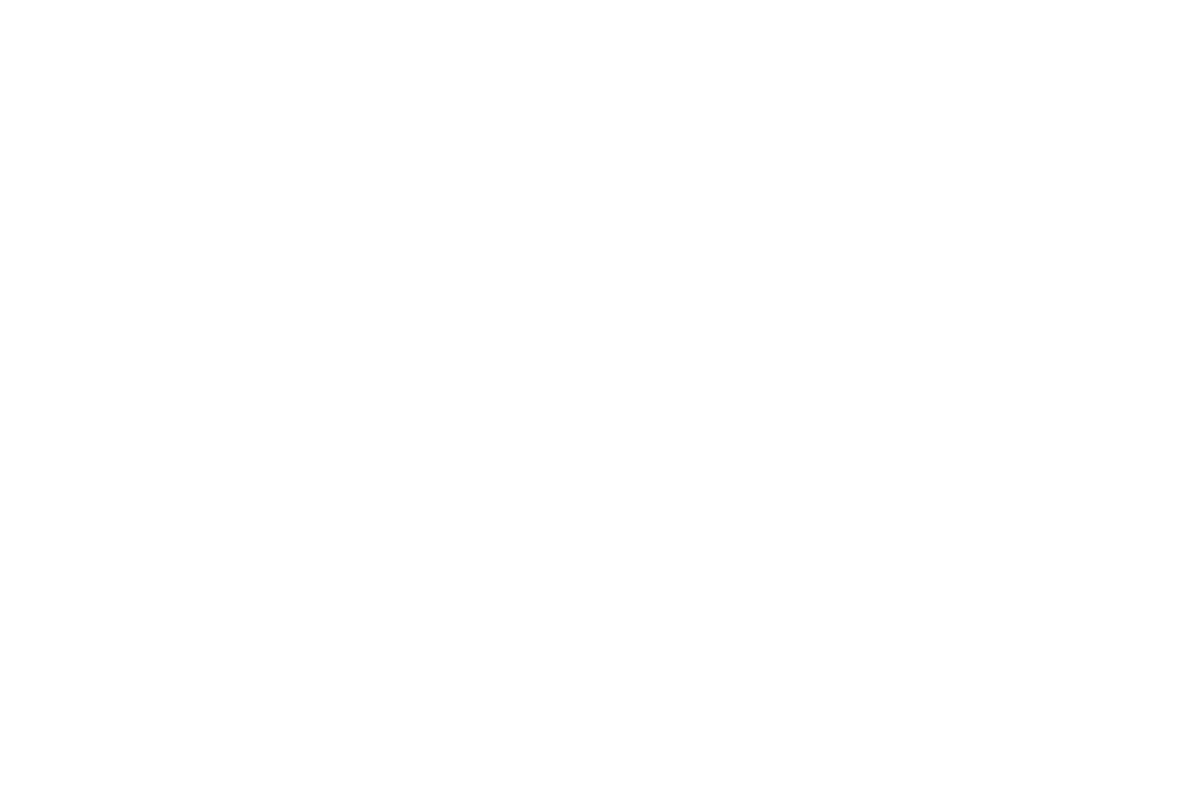 Lev Stejngardt