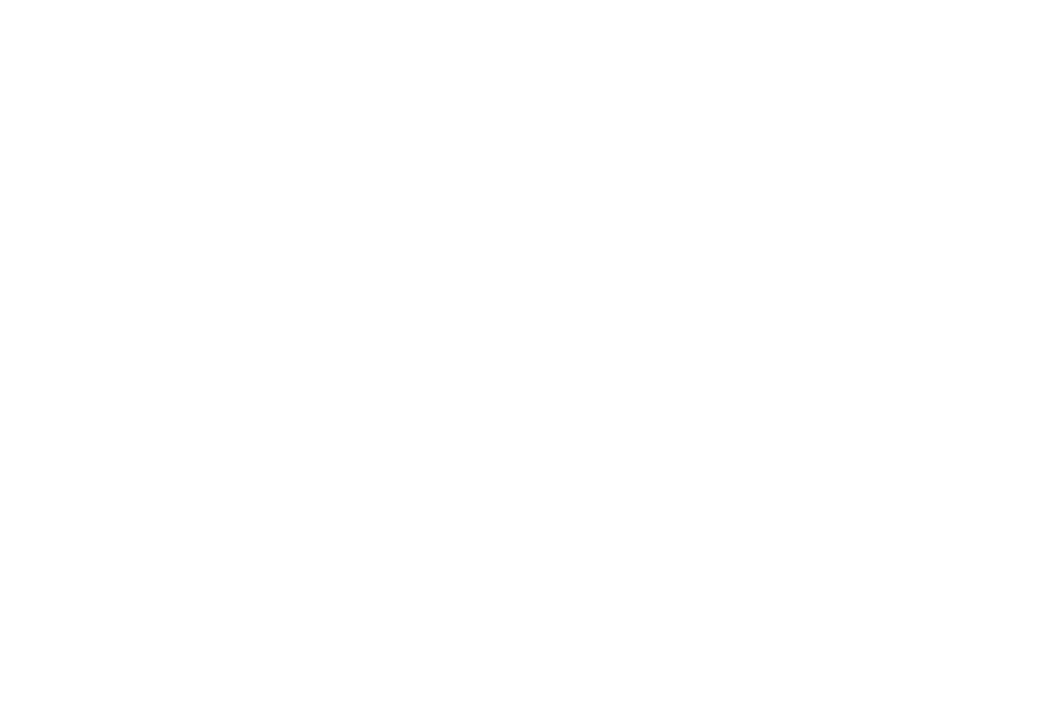 Ramina Mostoufi Slogan