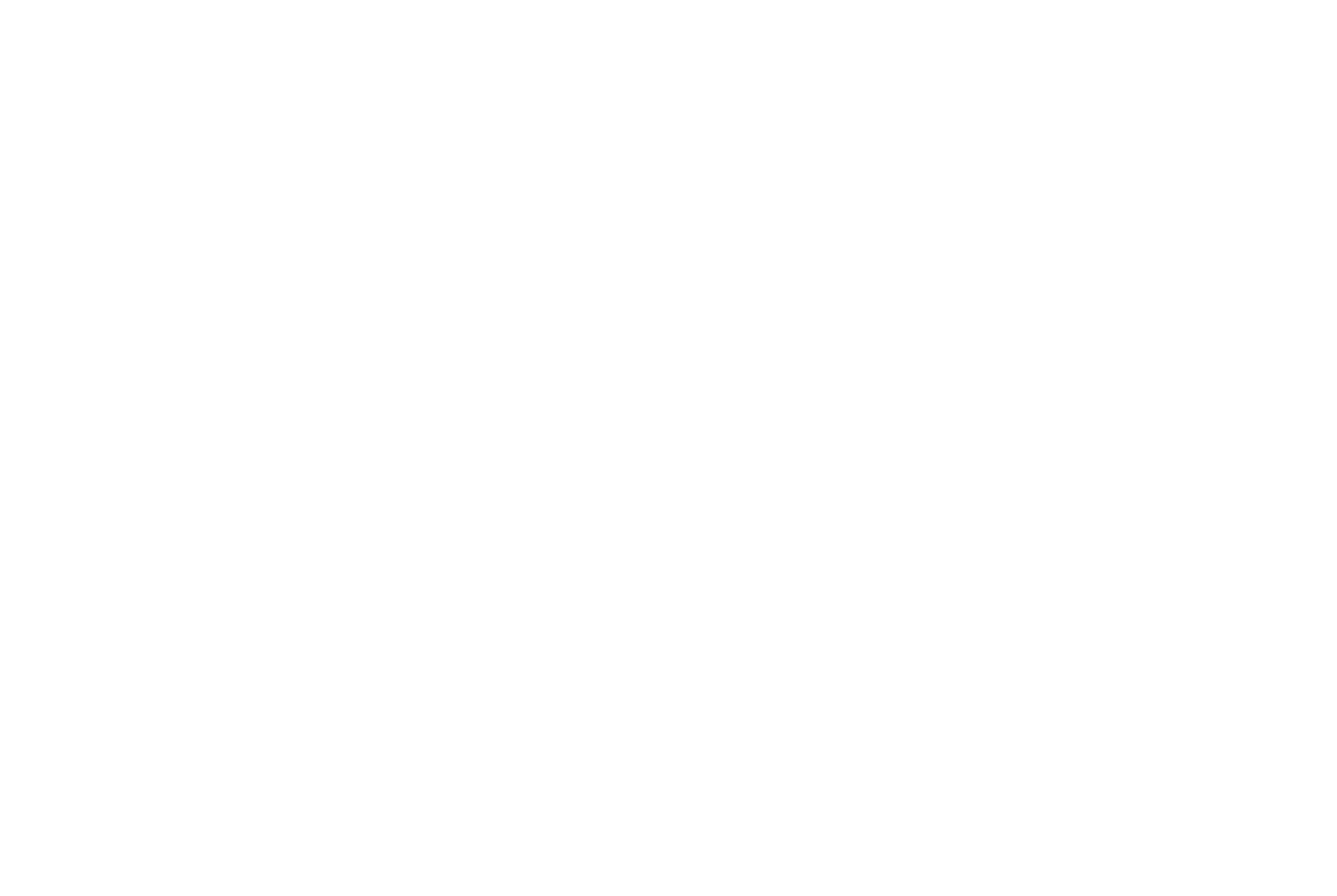 Elisabeth Schmidt Slogan
