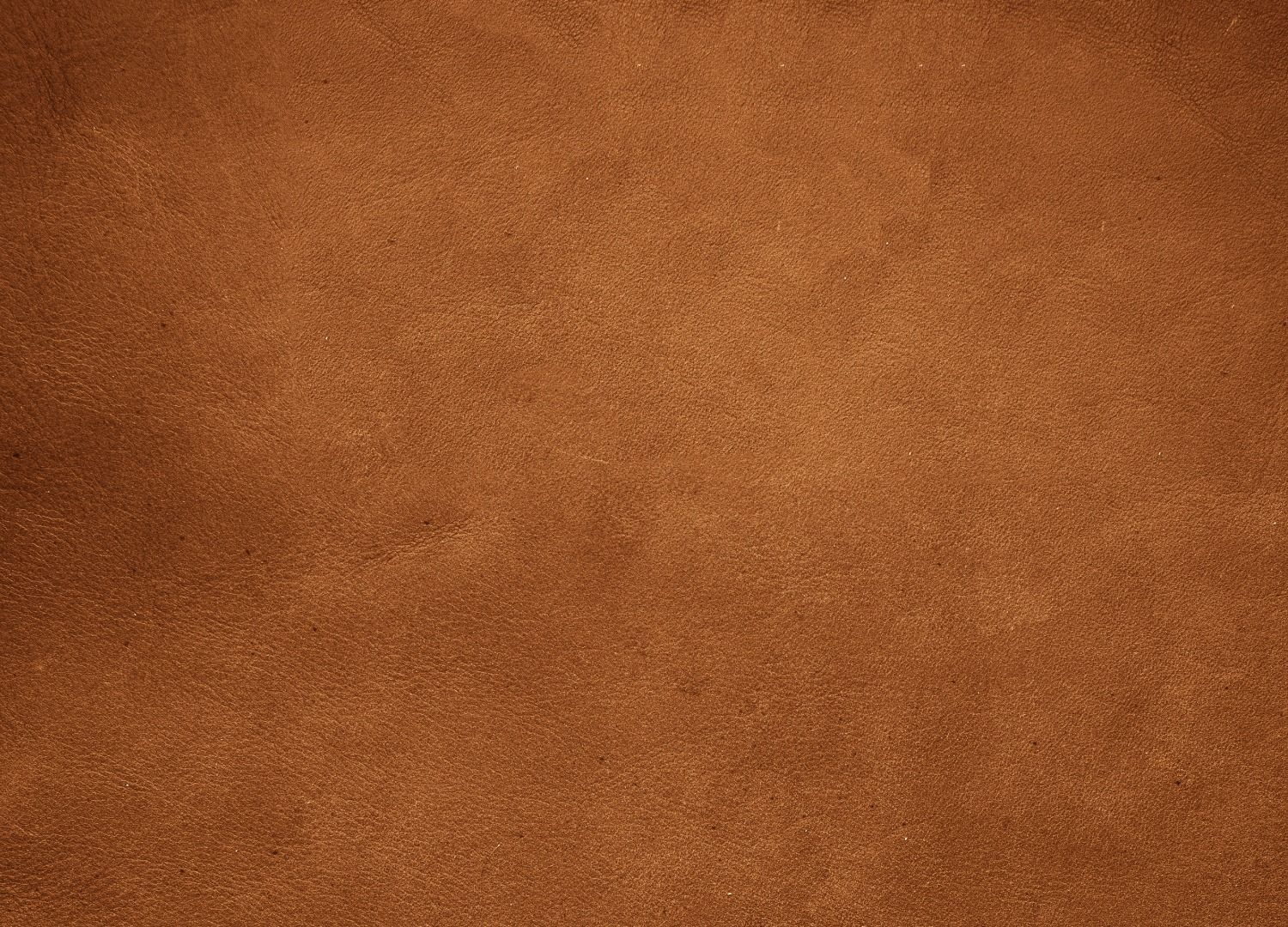 Placeholder Alt Text