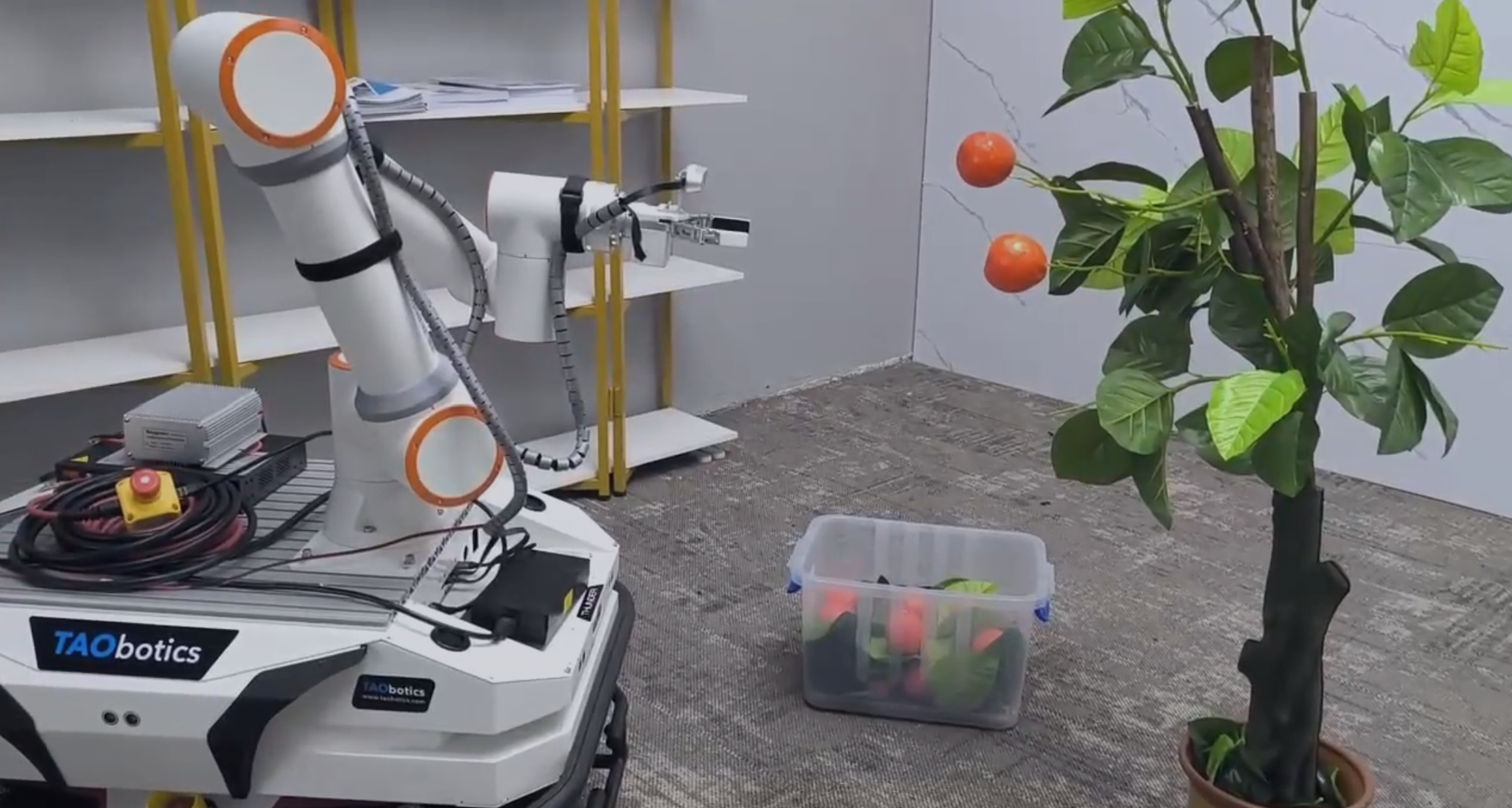 Fruit Picking Demonstration with Fairino FR3