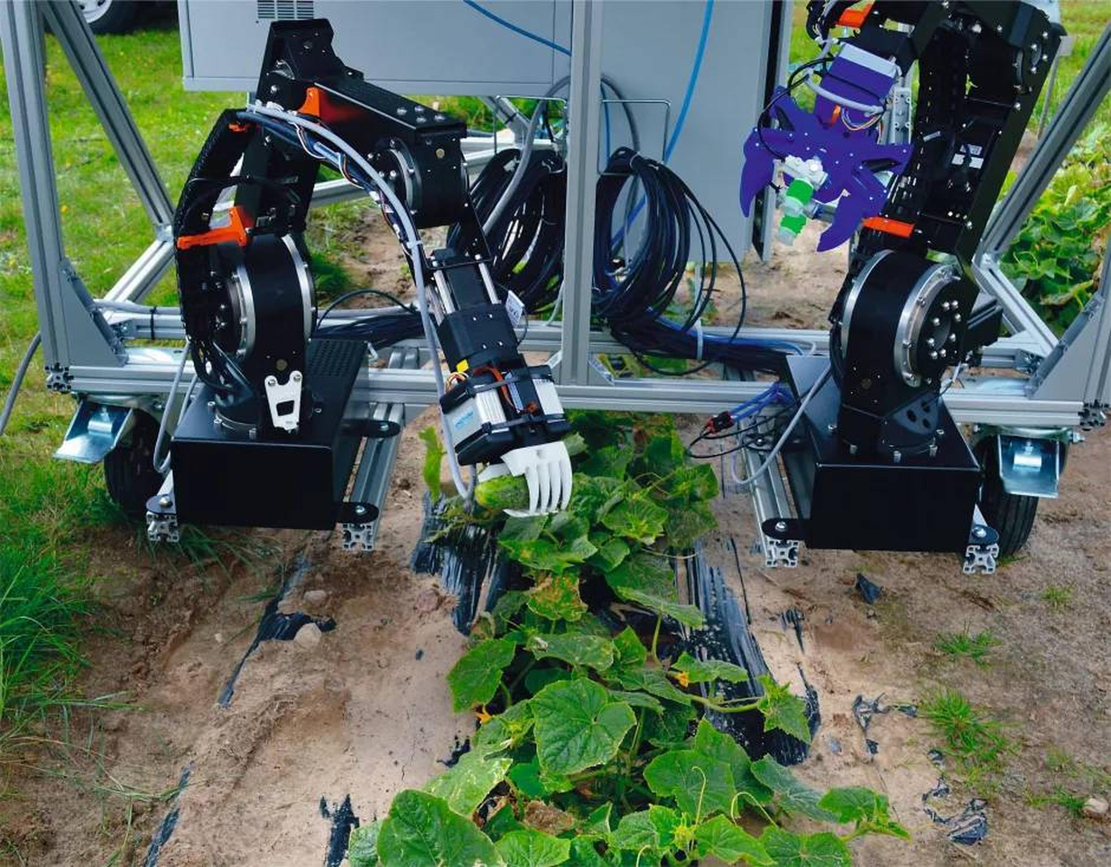Harvest robot