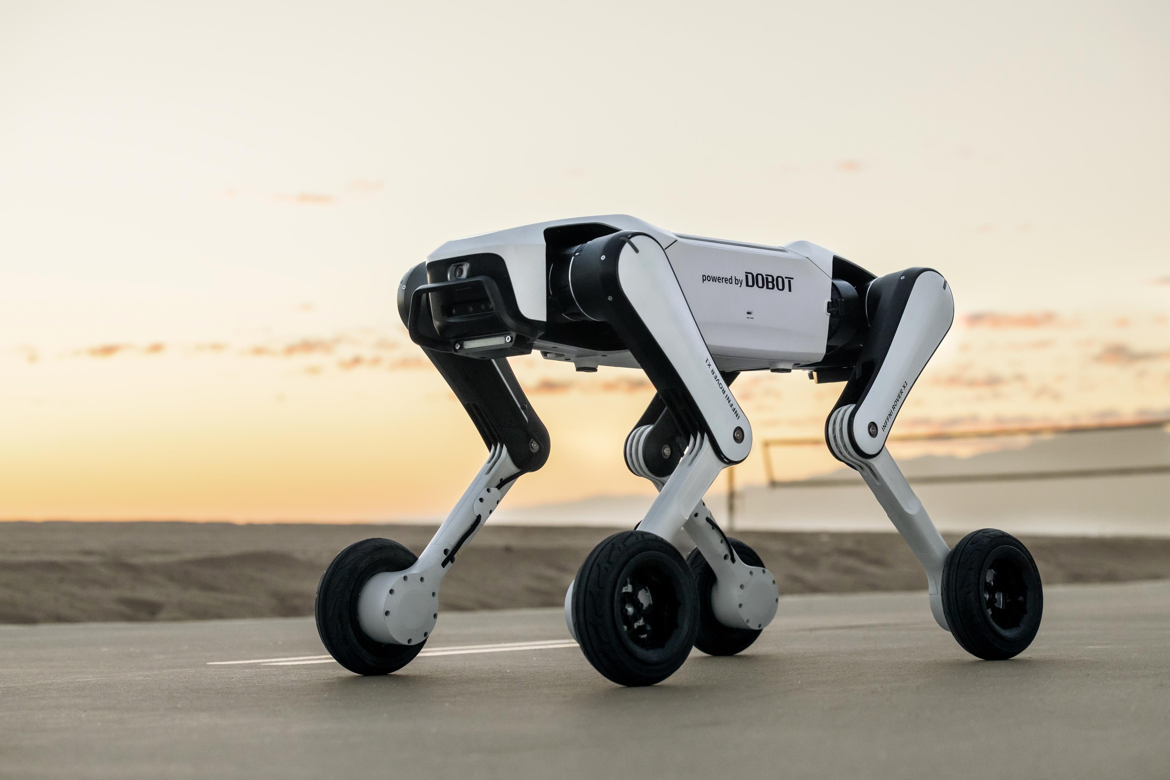 https://a.storyblok.com/f/298593/6632x4421/54dc7619e0/rover-x1-2.jpg