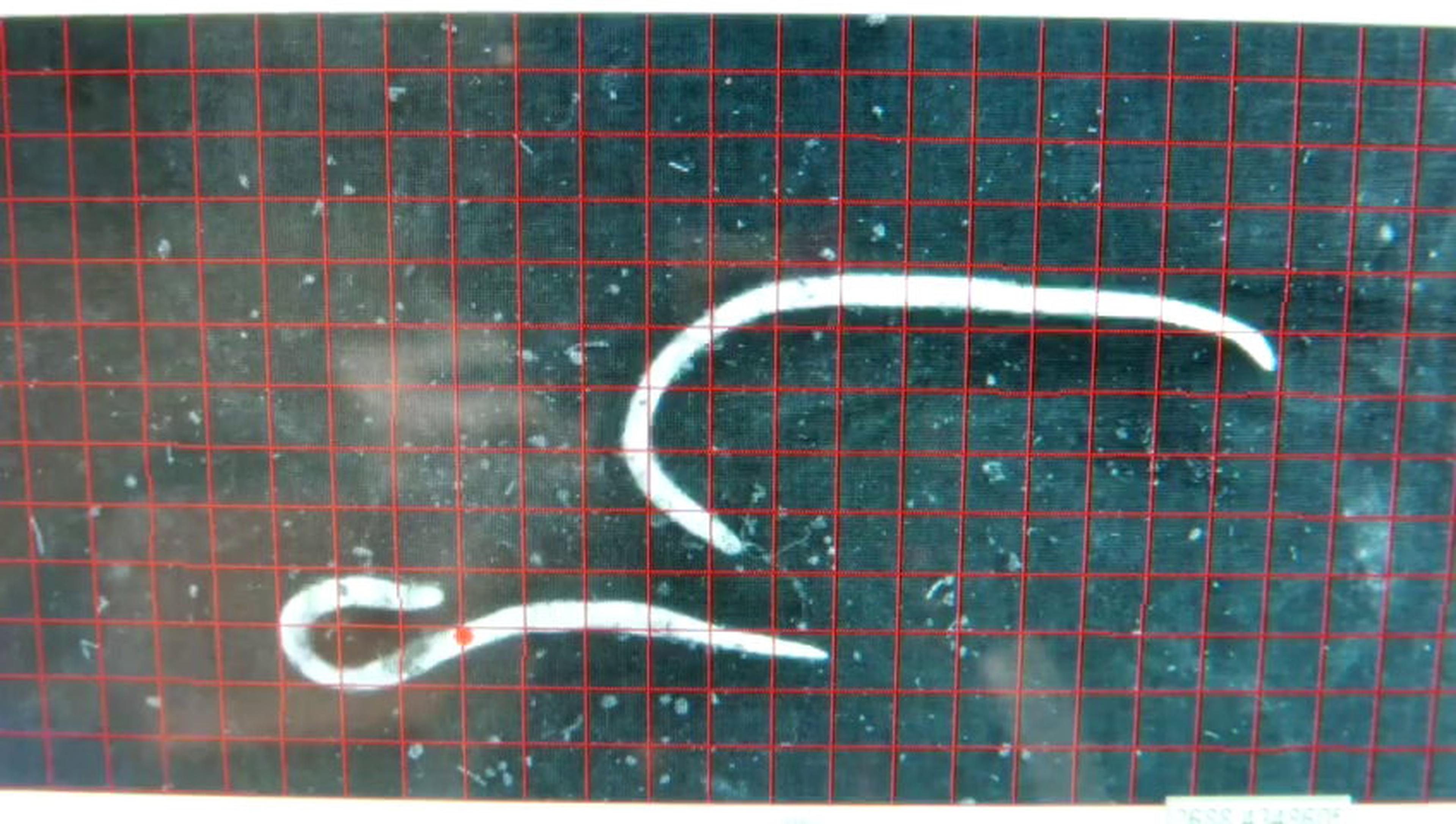 Solution image 2