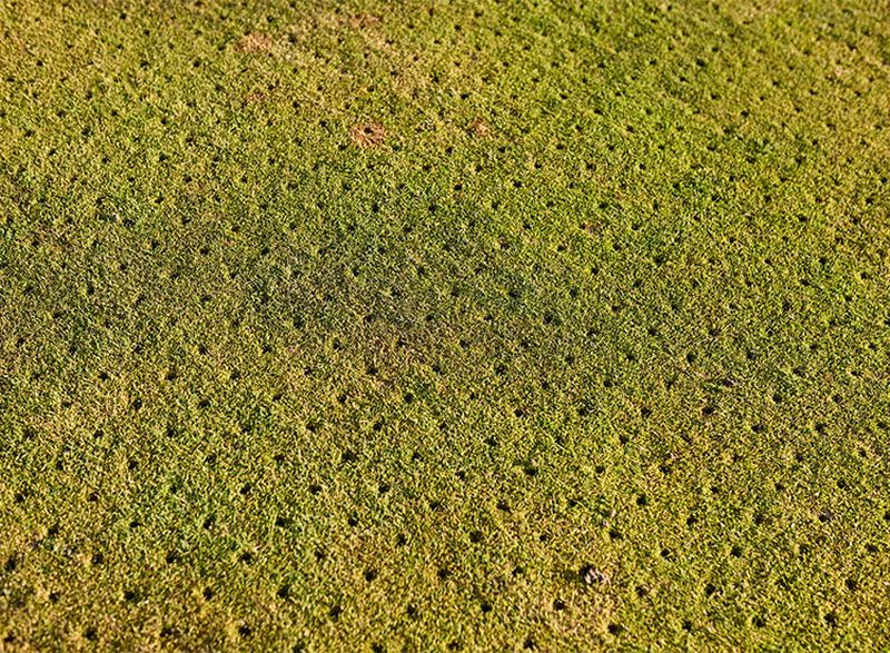 Ein Rasen mit vielen kleinen Löchern.