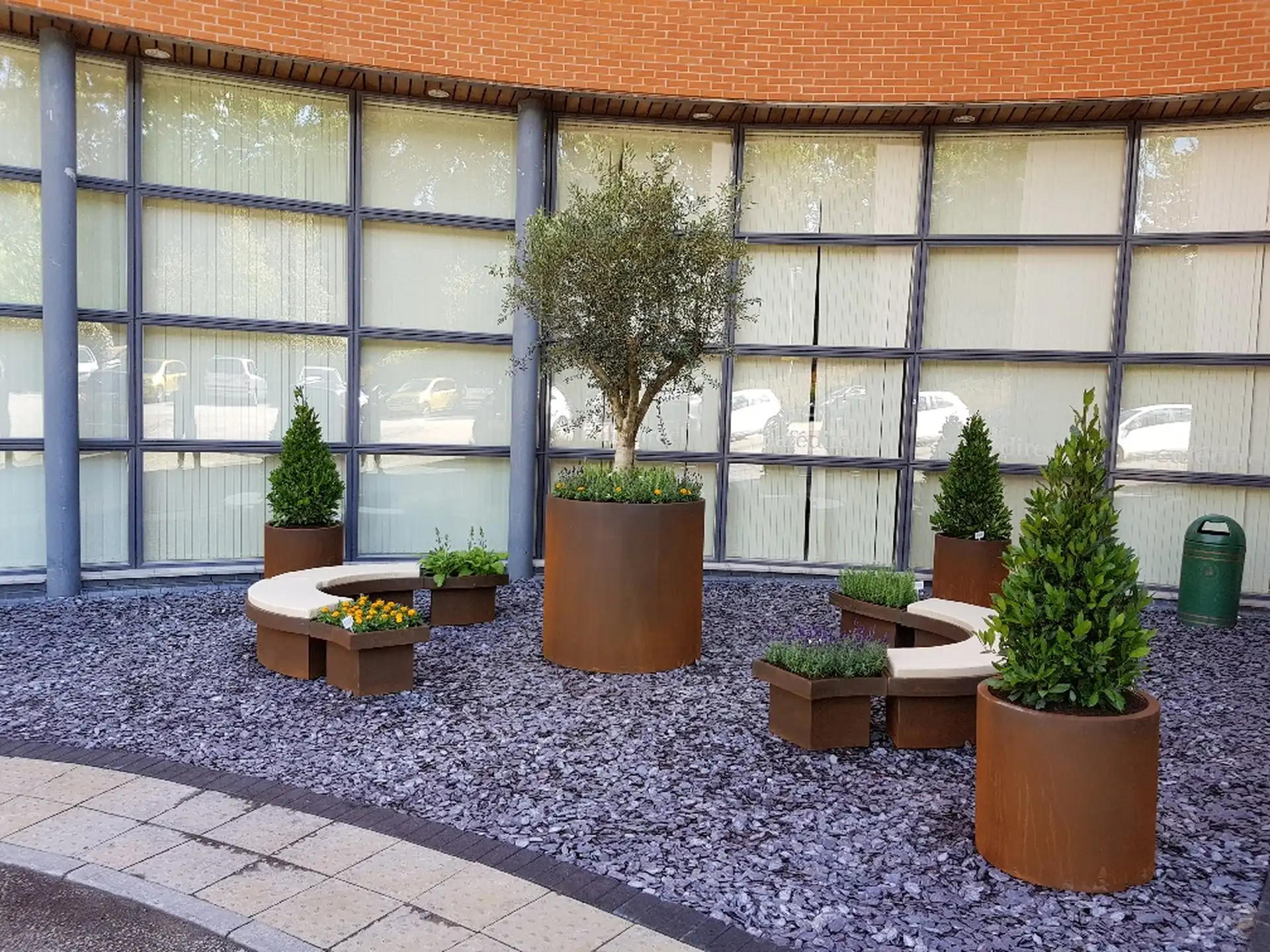 Background media image