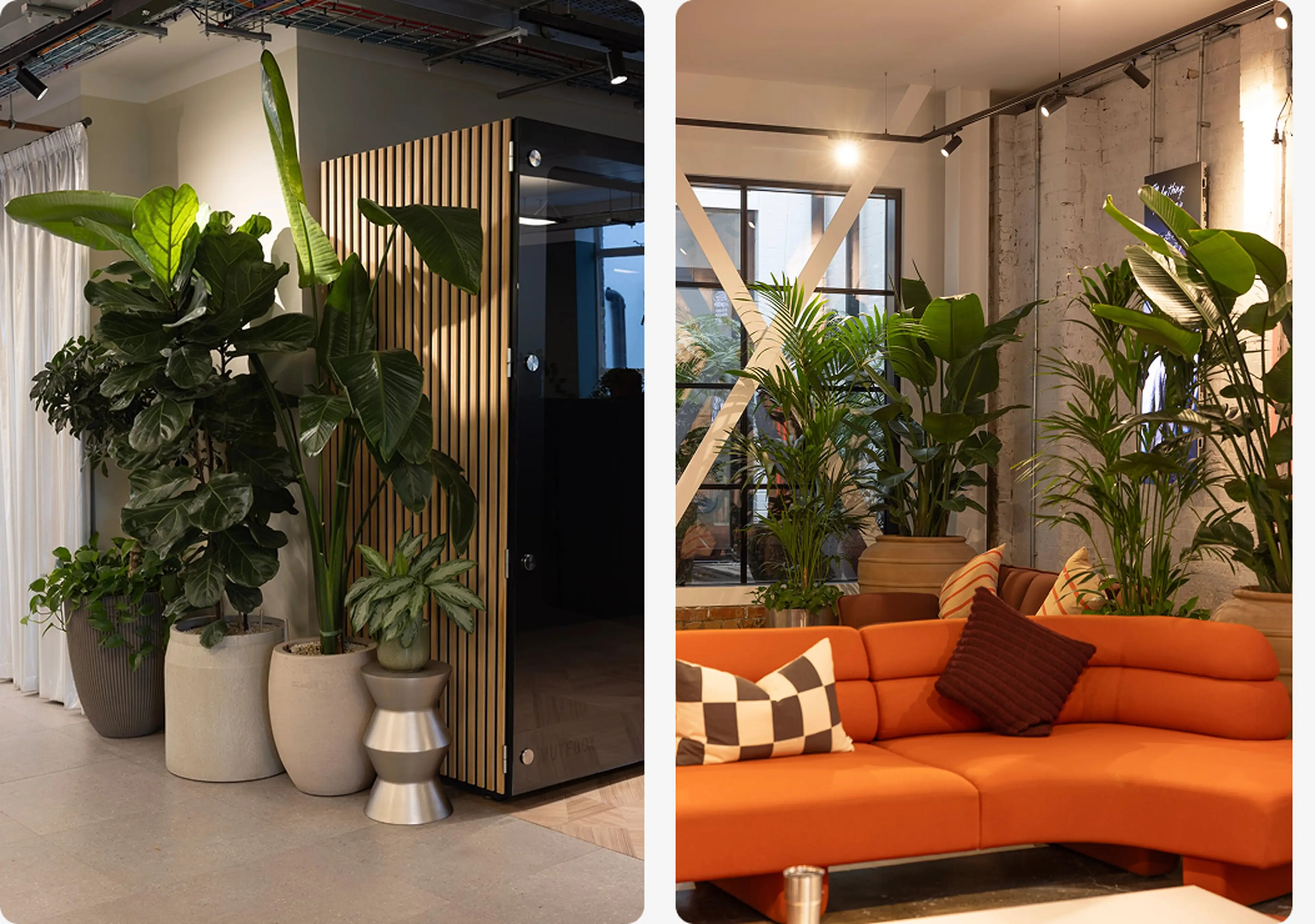 Modern interior with various potted plants beside a wooden partition and an orange sectional sofa with patterned cushions.