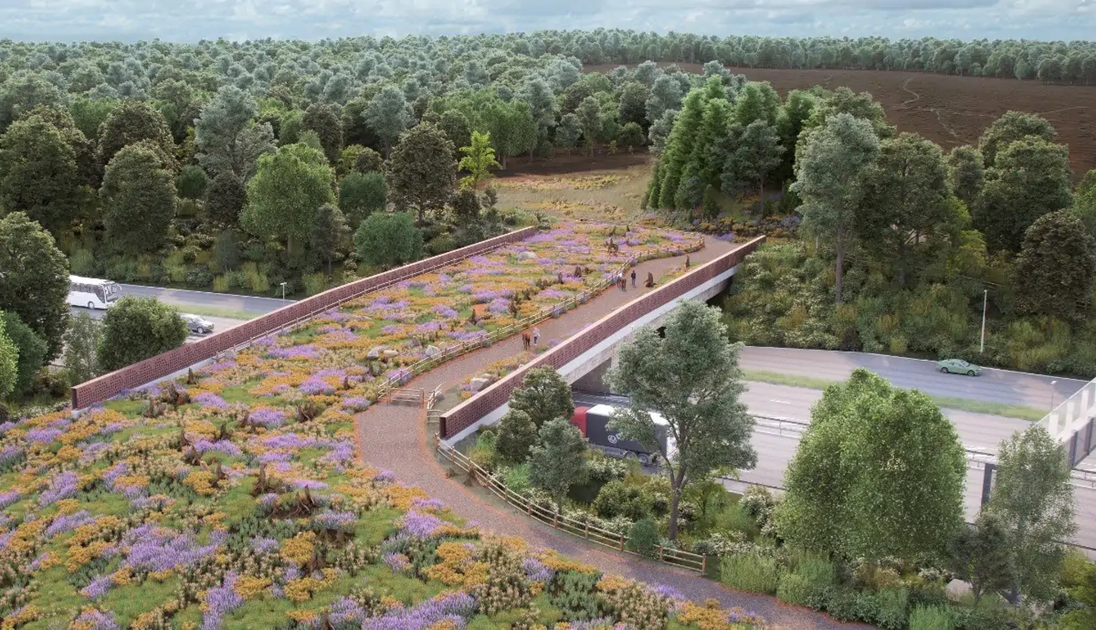 Rendered image of Cockcrow Green Bridge, a green wildlife bridge over a motorway, featuring a winding footpath, wooden fencing, and vibrant wildflowers, seamlessly connecting two forested areas.