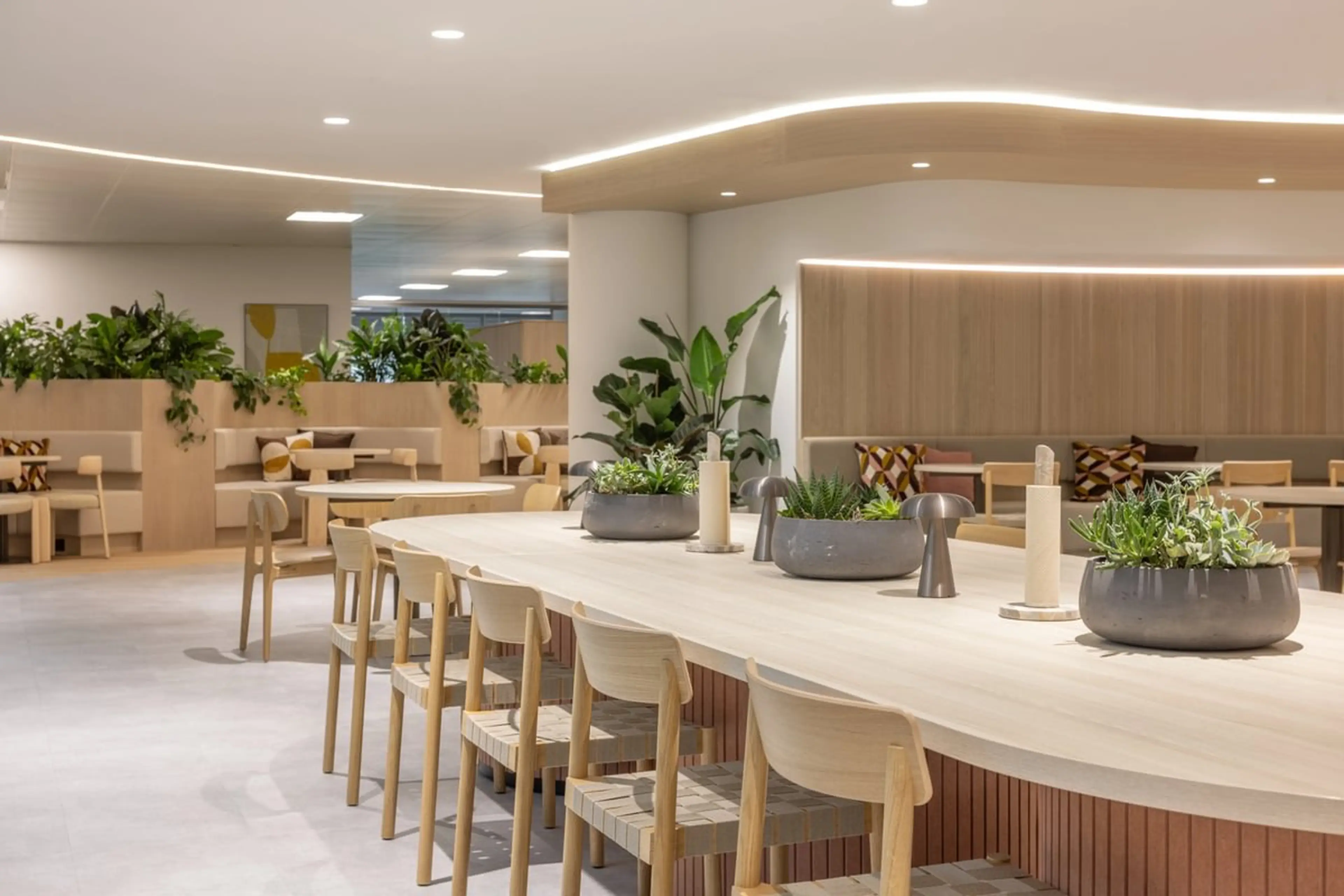 The Real Impact of Office Plants: Inside a Landmark Dutch Study on Workplace Wellbeing