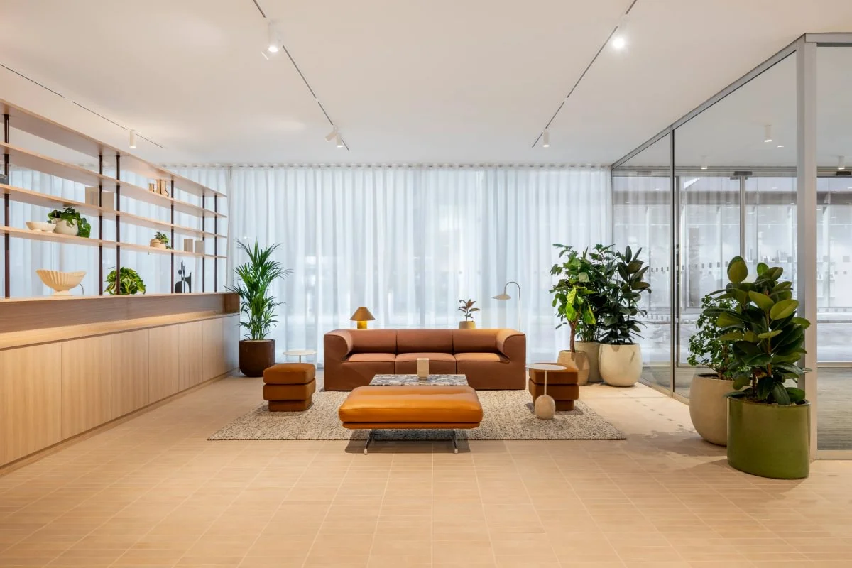 Modern office lounge with a brown sofa, ottomans, large rug, and indoor plants. Wooden shelves and glass divider complement the airy decor.