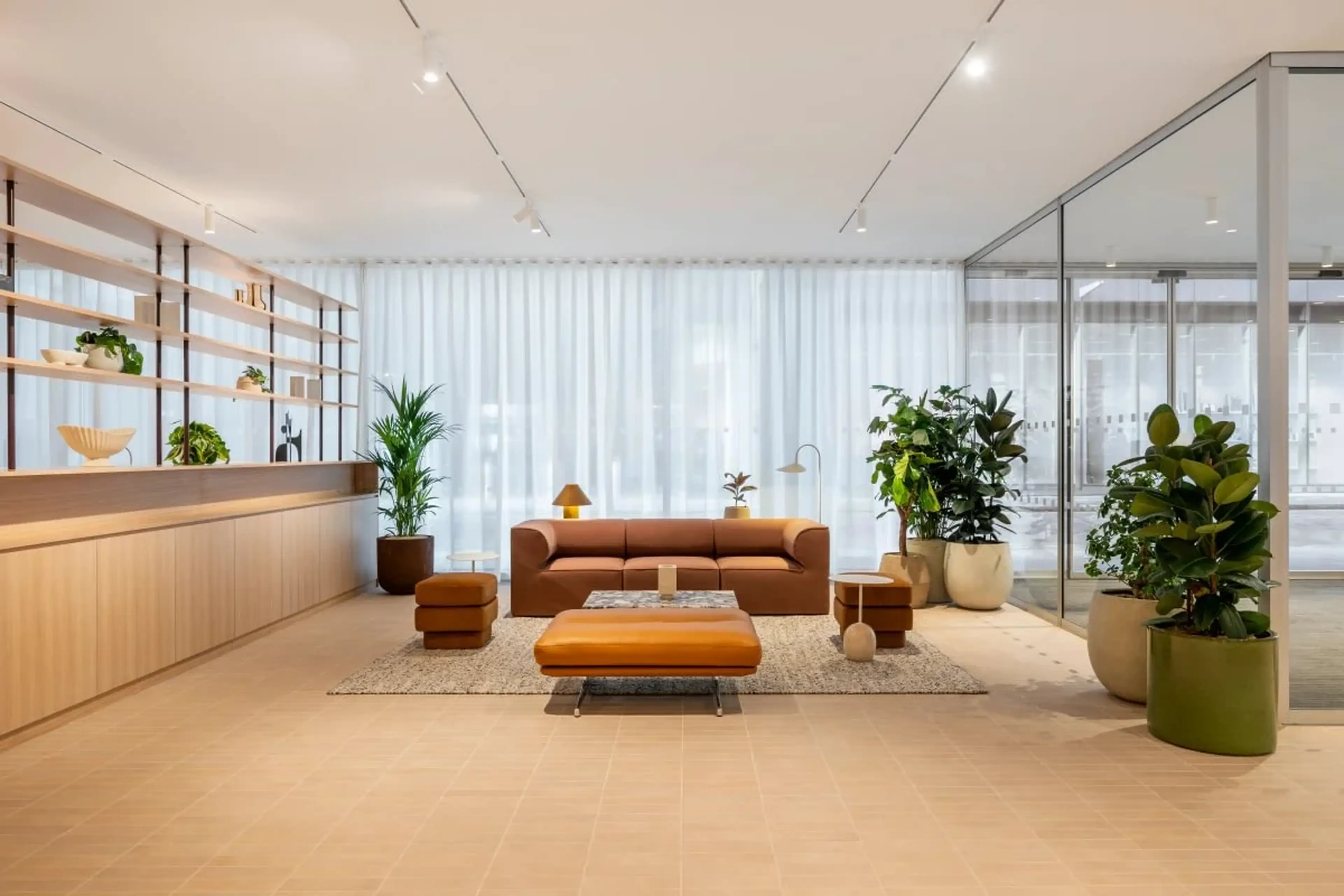 Modern office lounge with a brown sofa, ottomans, large rug, and indoor plants. Wooden shelves and glass divider complement the airy decor.