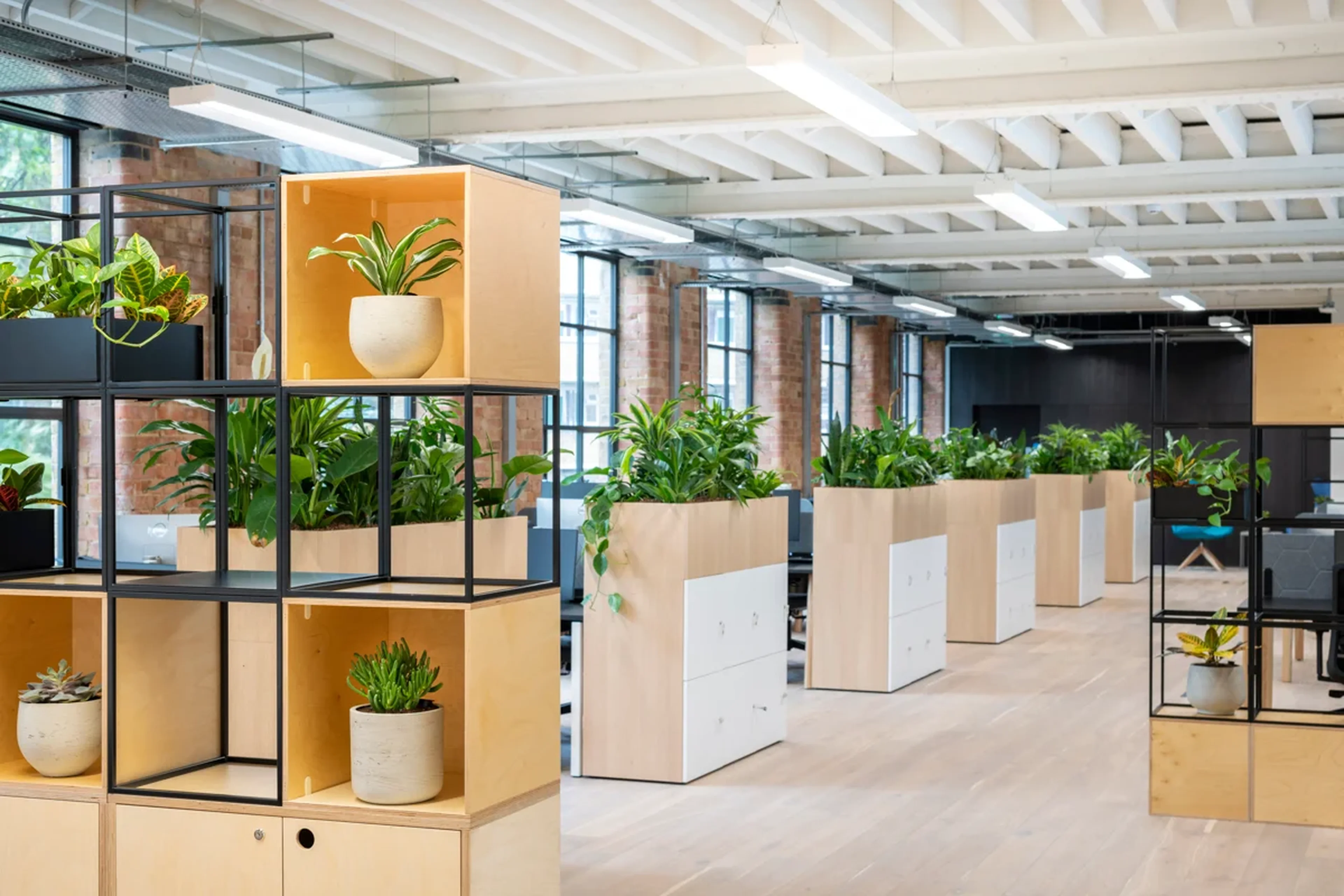 Modern open-plan office with wooden shelves and cabinets, decorated with various office plants, large windows, and exposed brick walls.