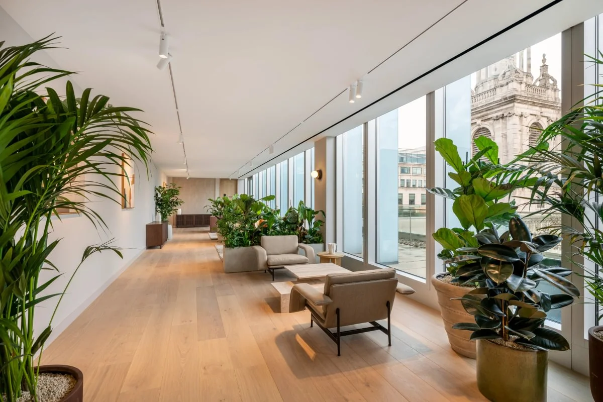 Modern office lounge with large windows, wooden floor, beige seating, and lush potted plants, overlooking a cityscape with an ornate building.