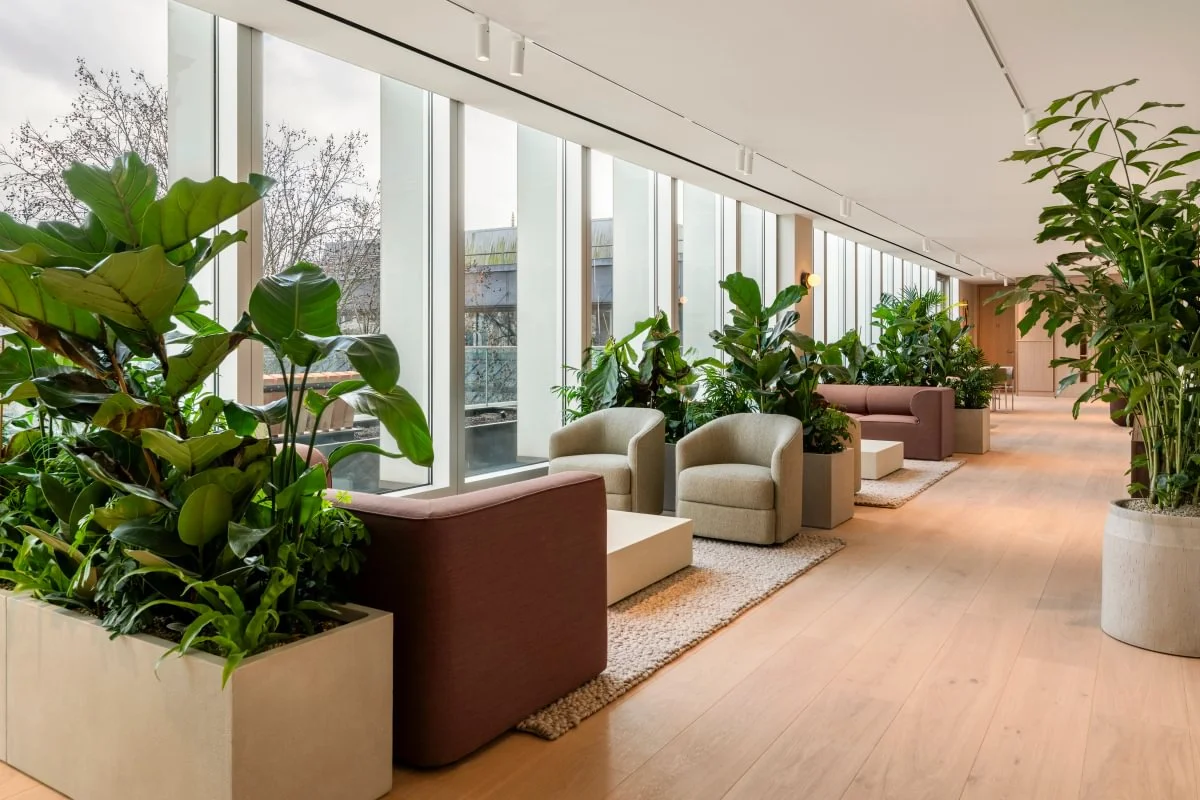 Modern seating area with large windows, green plants, and cozy chairs on a light wooden floor.