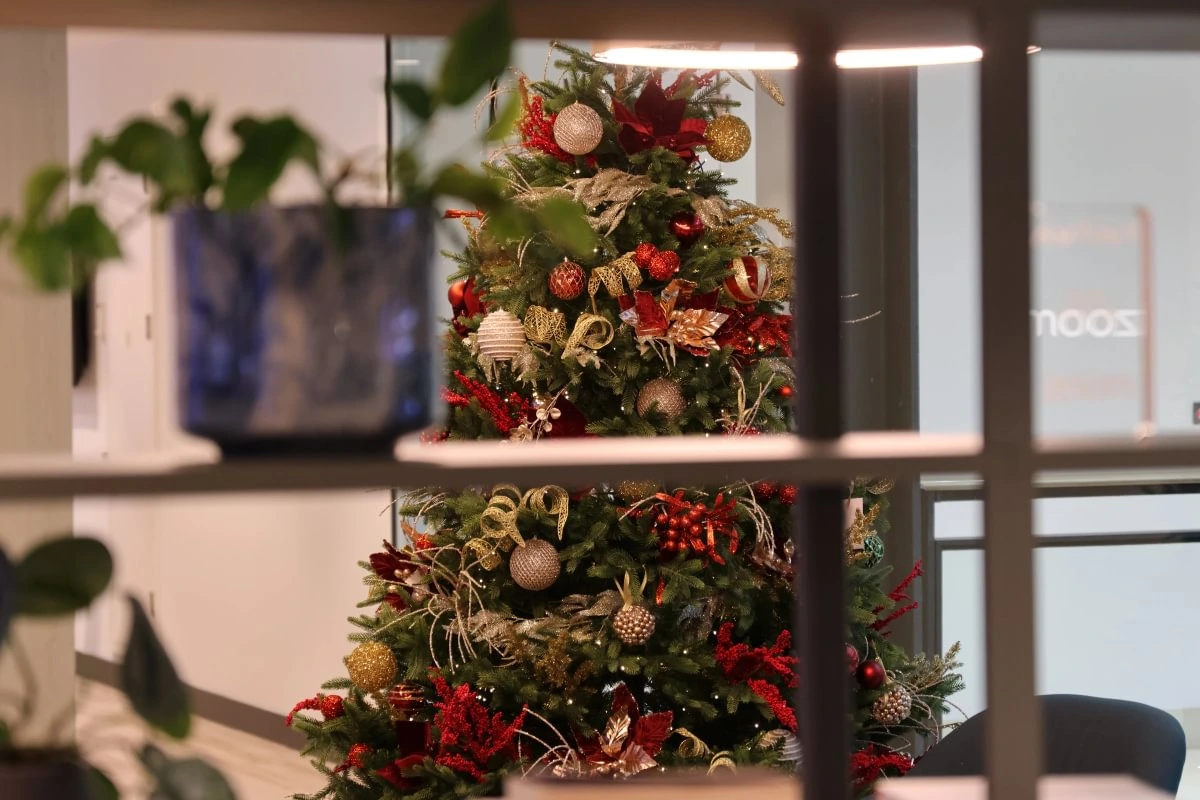 A beautifully decorated Christmas tree adorned with red and gold ornaments is seen through a window, with a potted plant in the foreground.