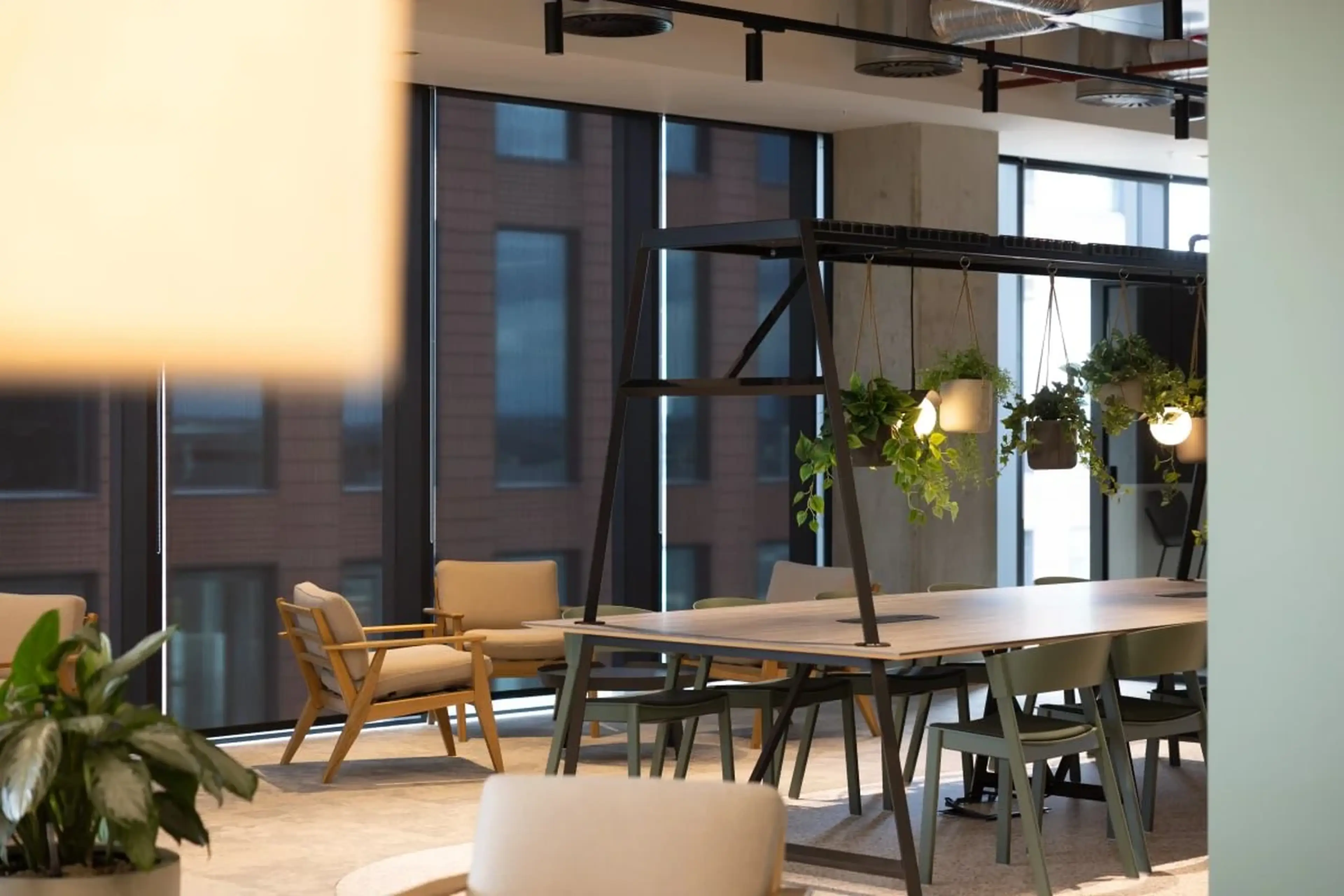 Modern office space with wooden furniture, hanging plants, and large windows, creating a cozy and natural atmosphere.
