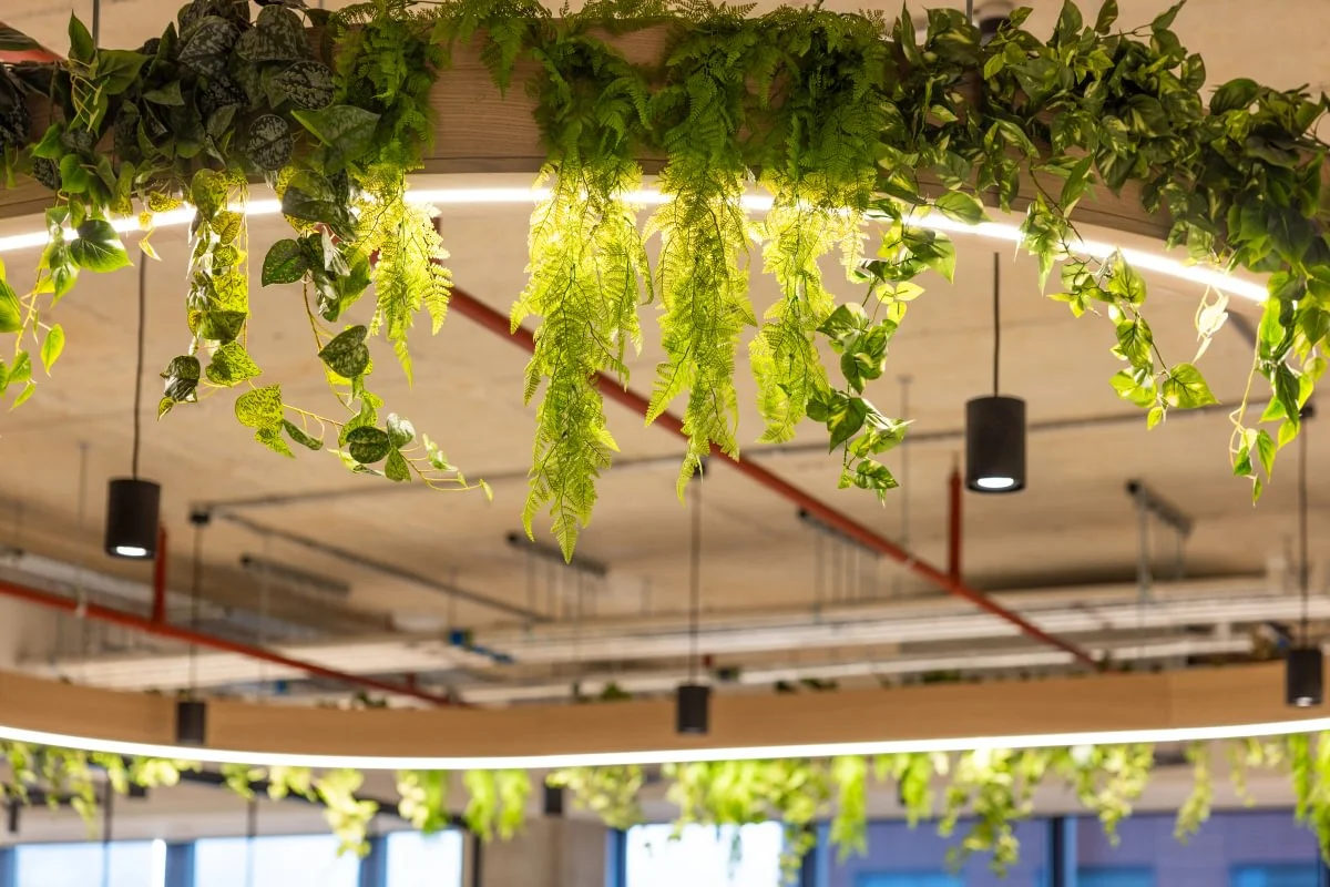 Ceiling with hanging greenery and sleek circular LED lighting, creating a modern and eco-friendly ambiance in an indoor space.
