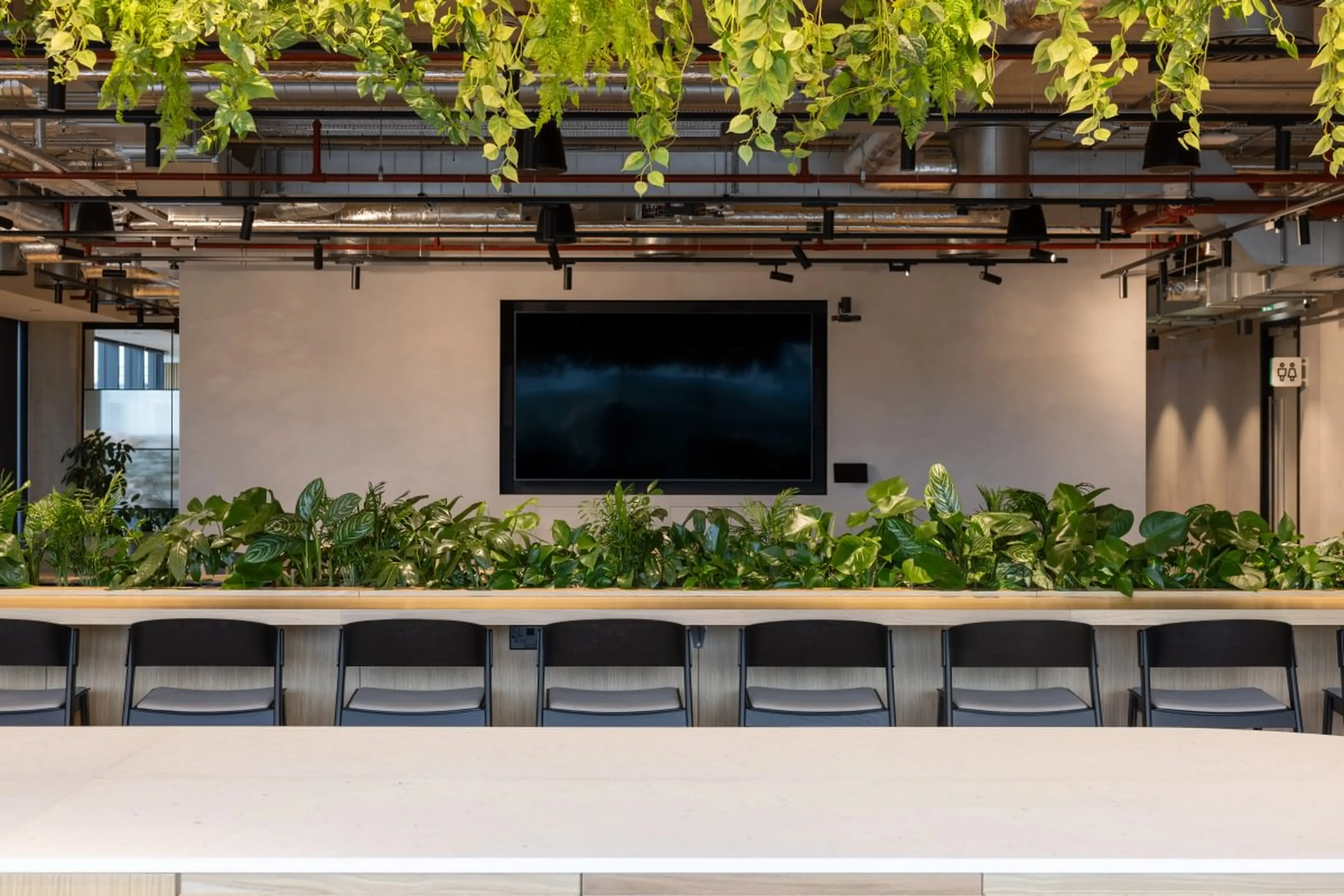 Modern office space with hanging and potted plants, a large TV on the wall, chairs, and exposed ceiling pipes.