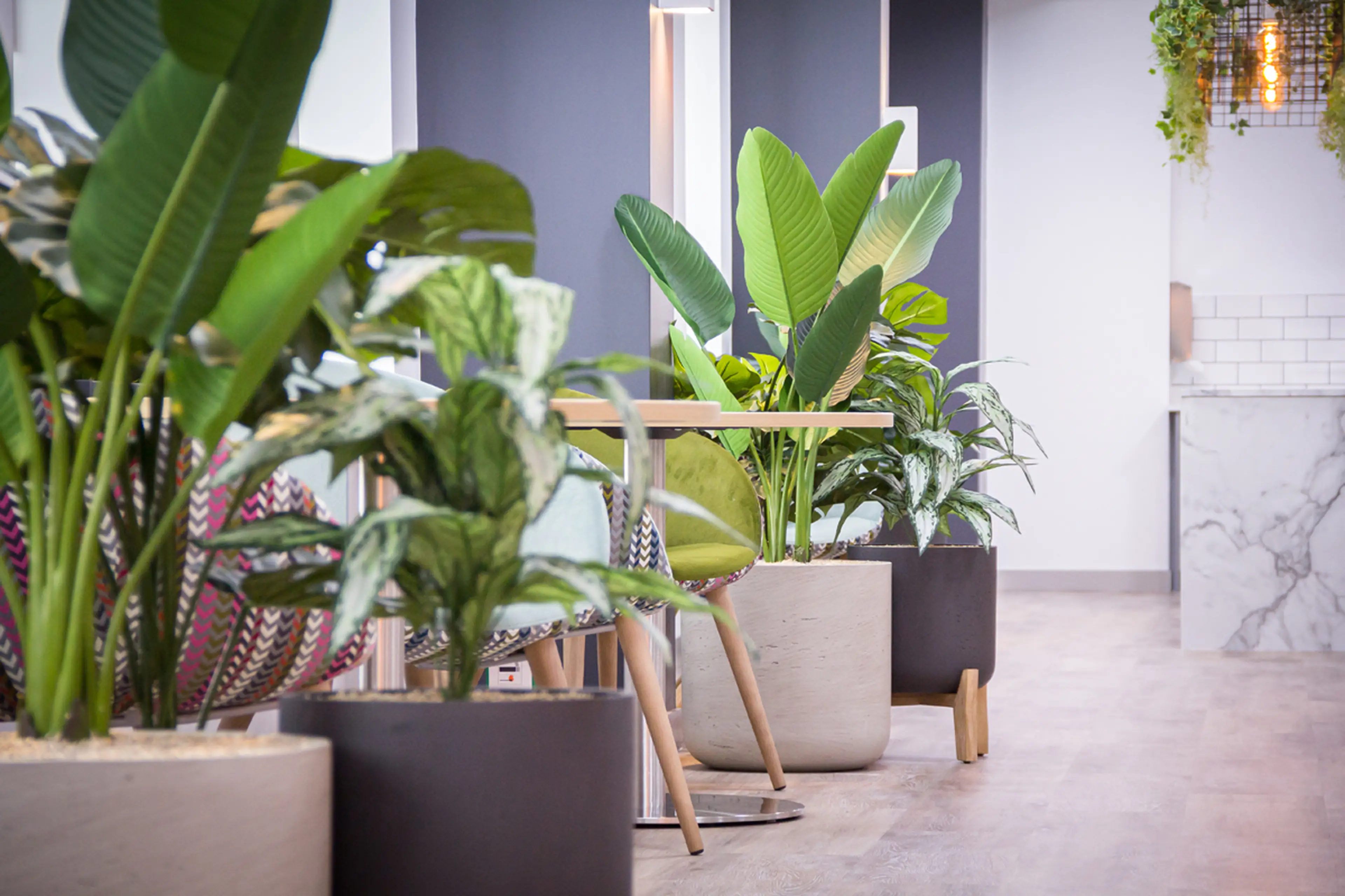 Gallery slider image