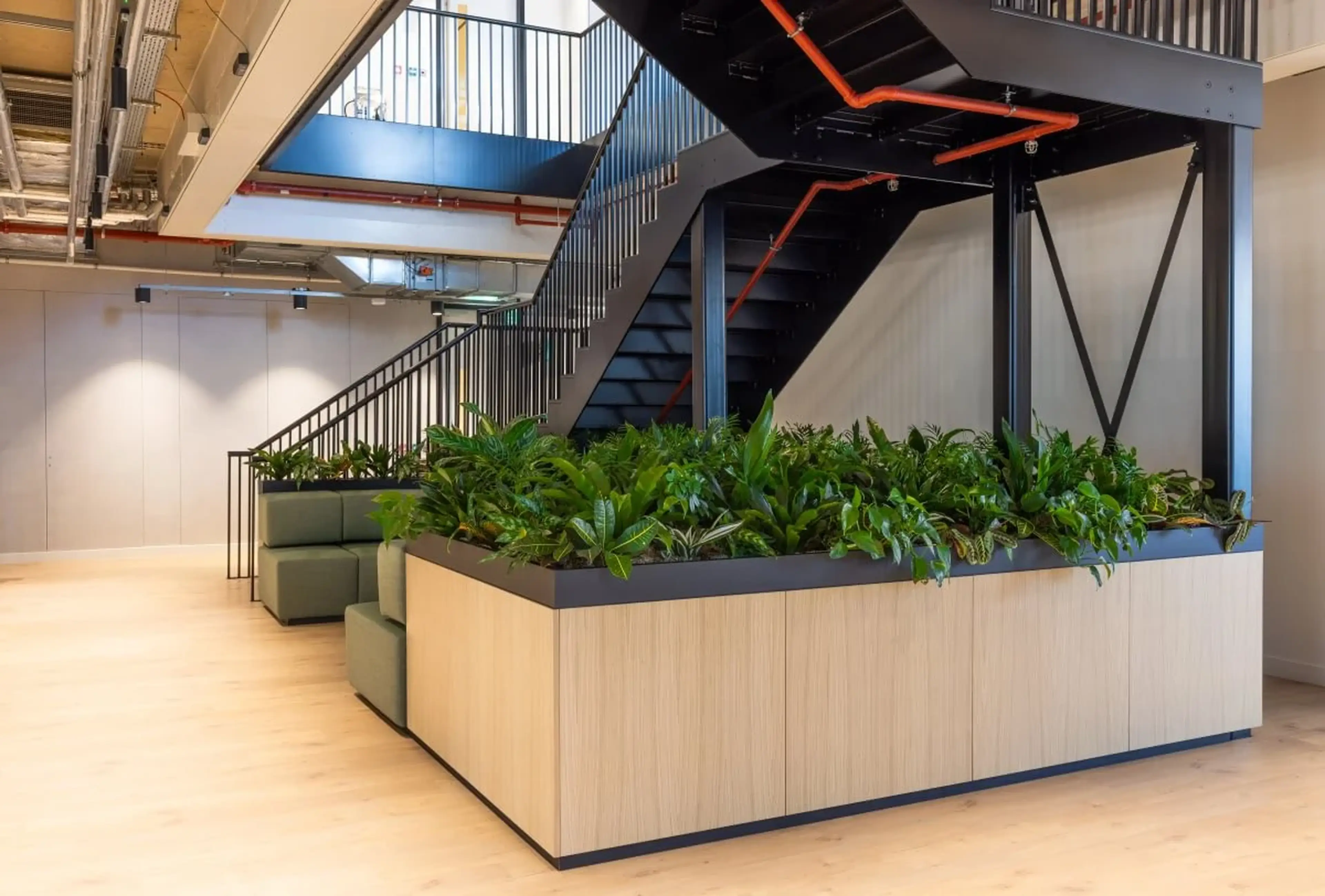Modern office interior with a staircase, green plants in a large planter, and light wood flooring.