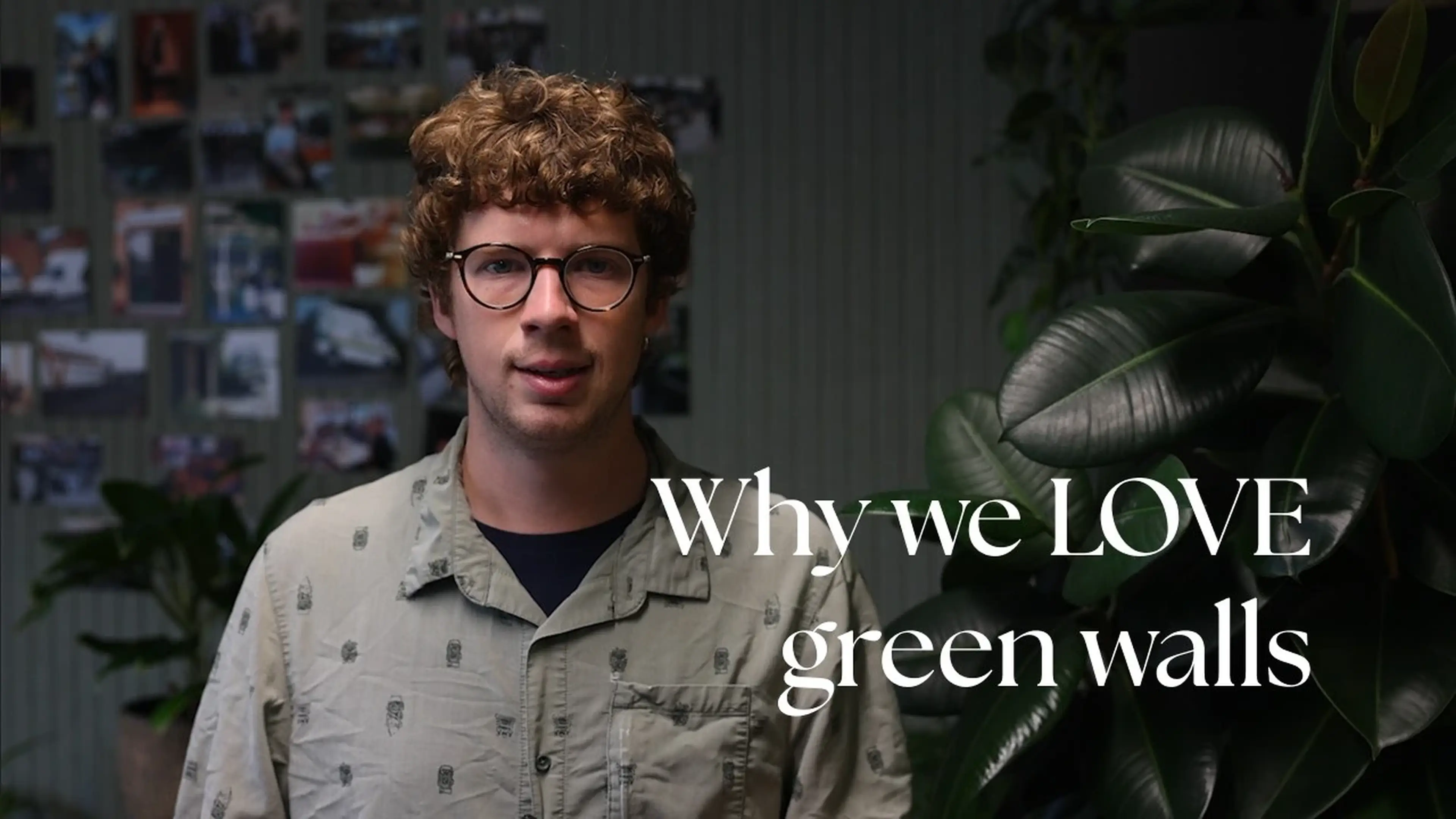 Why Green Walls Add More Greenery Than You Think | The Maths Behind Living Walls